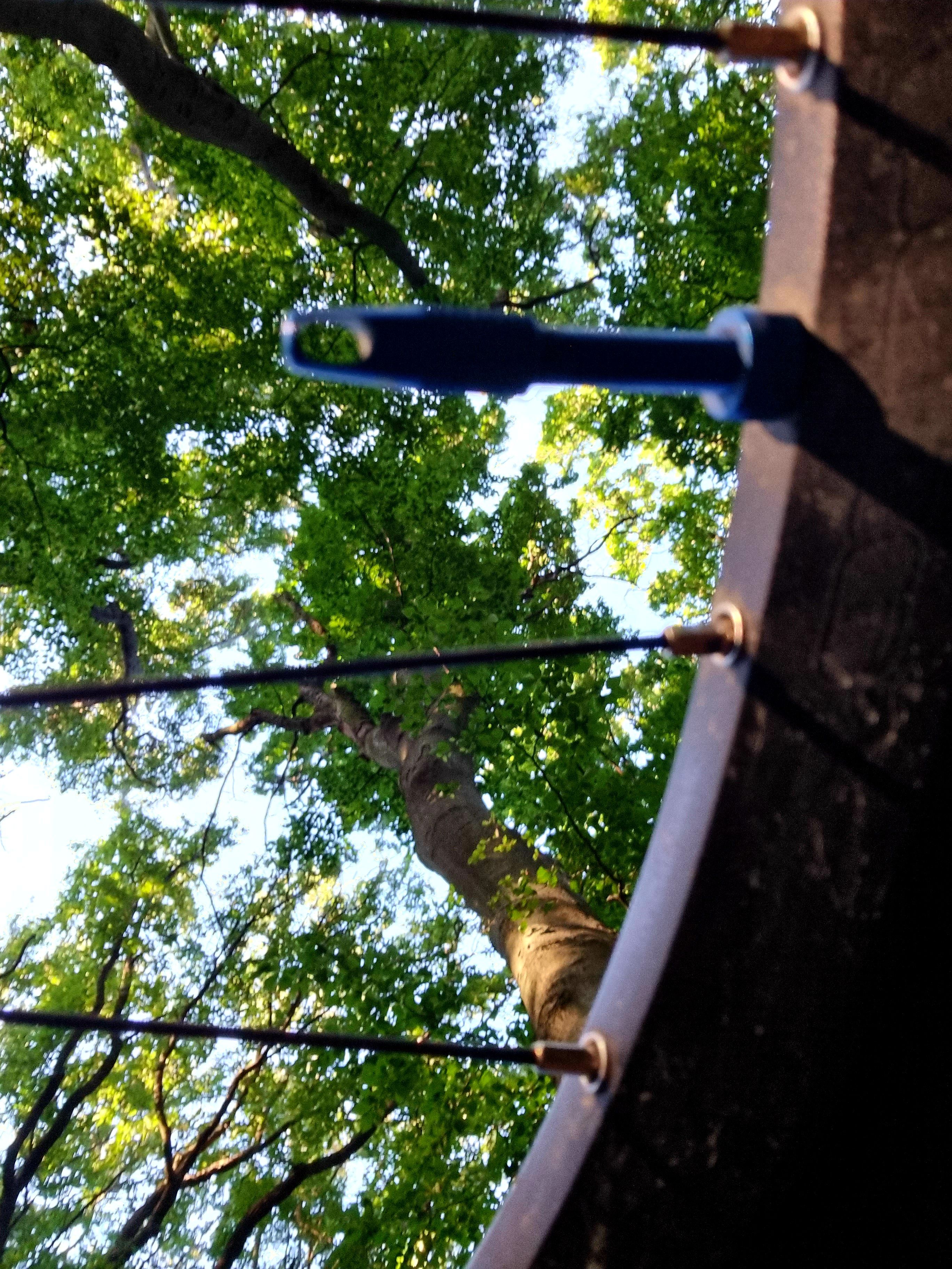 20210813_072805.jpg