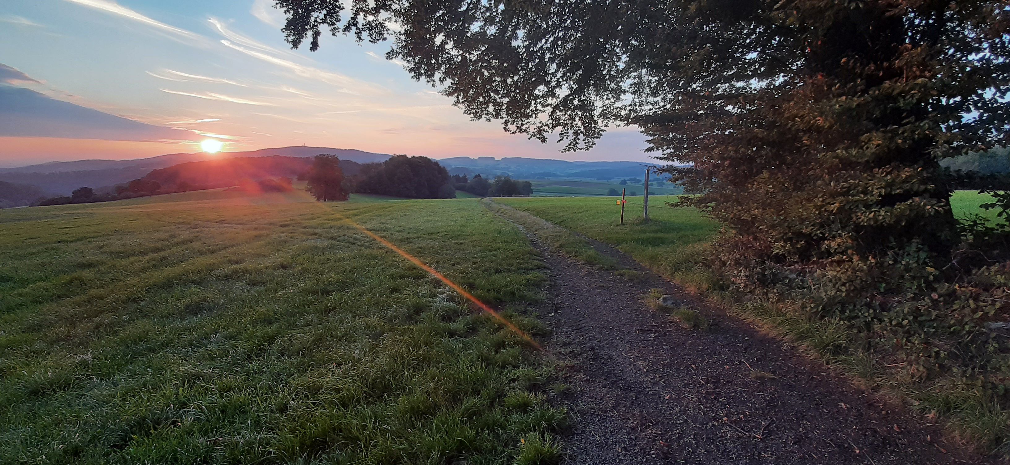 20210917_192208.jpg