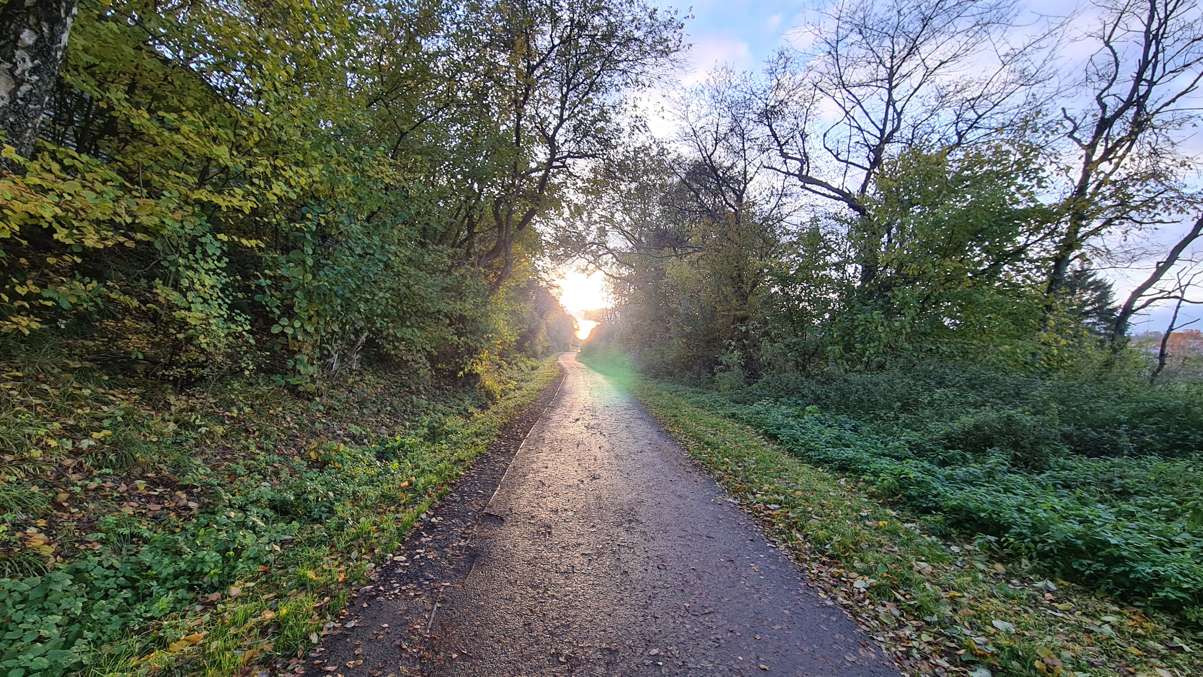 20211026_172903.jpg