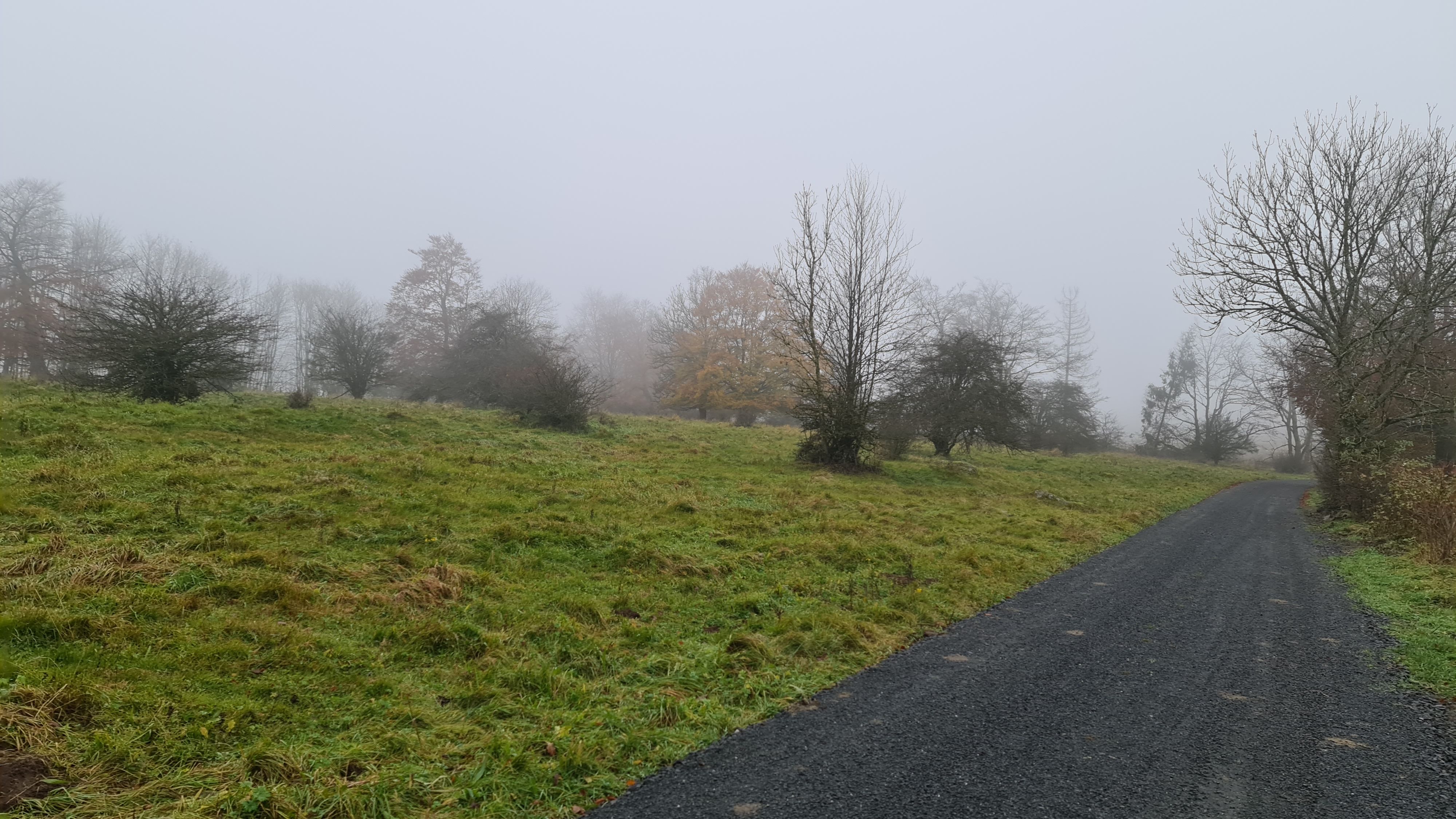 20211107_084543.jpg