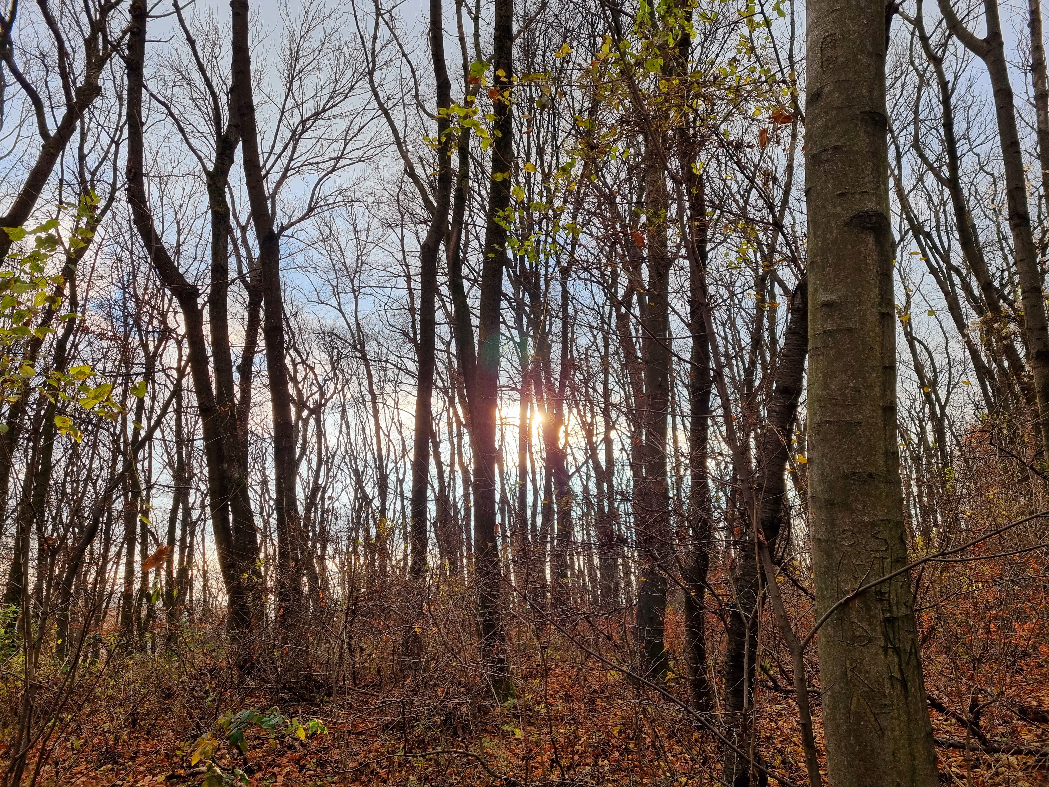 20211118_142412.jpg