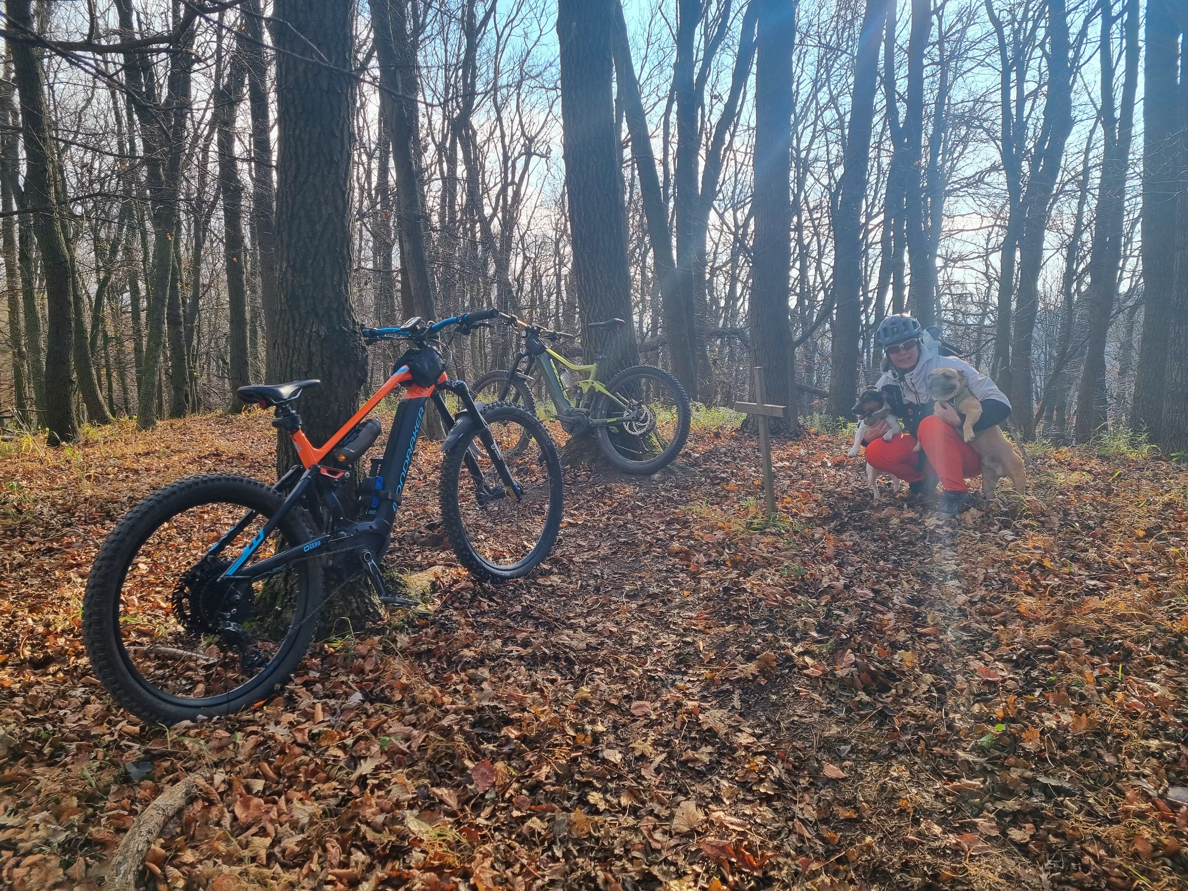 20211120_110205.jpg