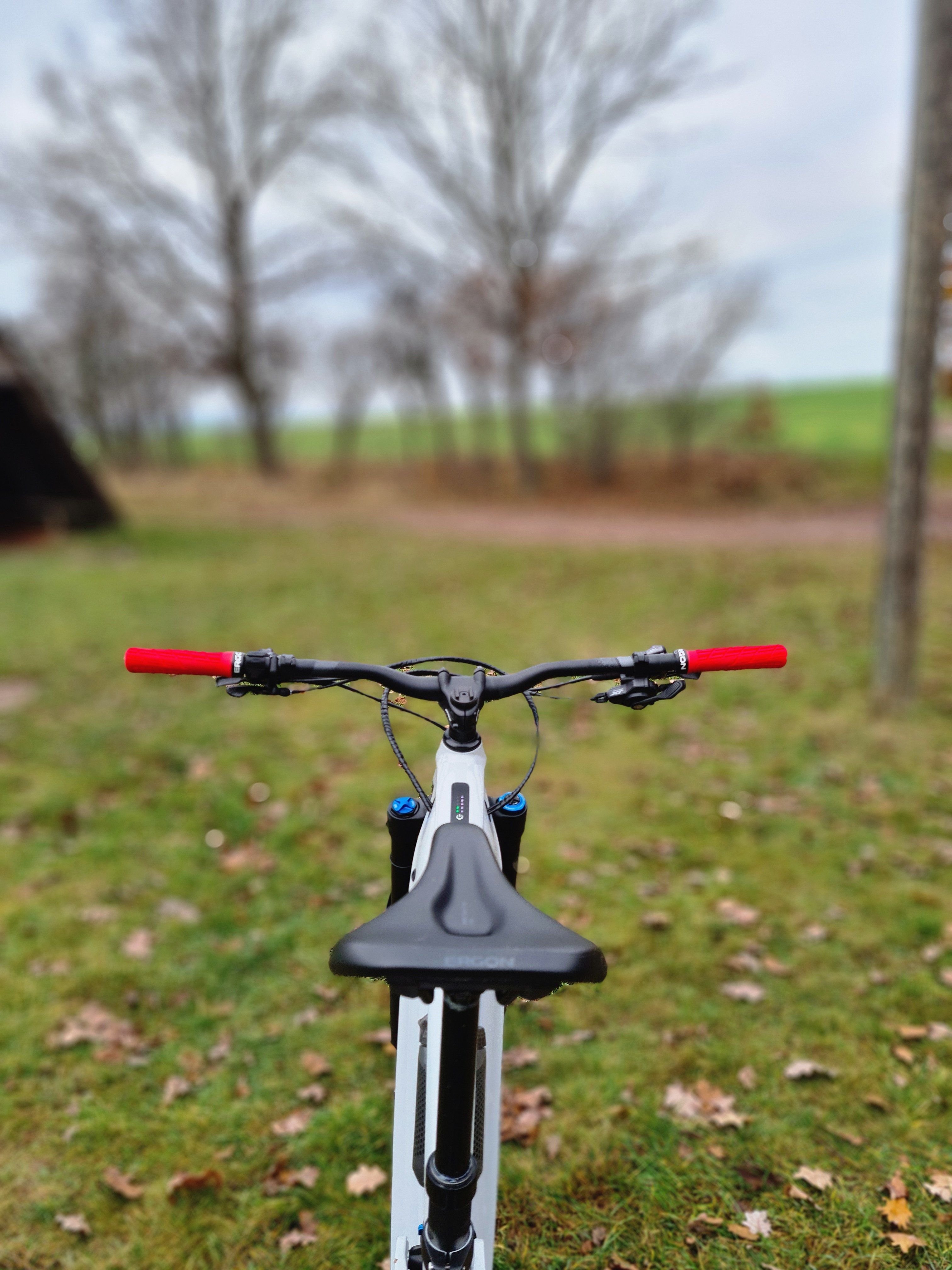 20211120_121414.jpg