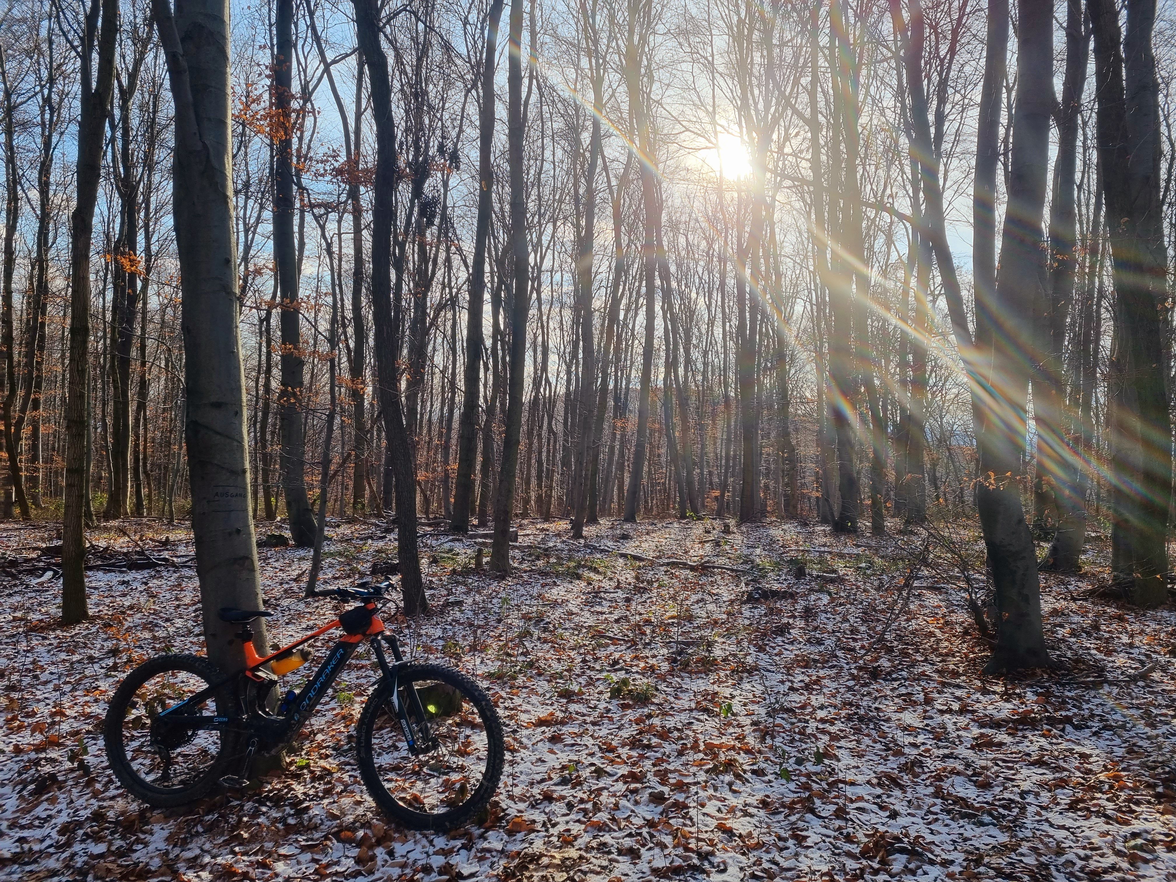 20211221_131404.jpg