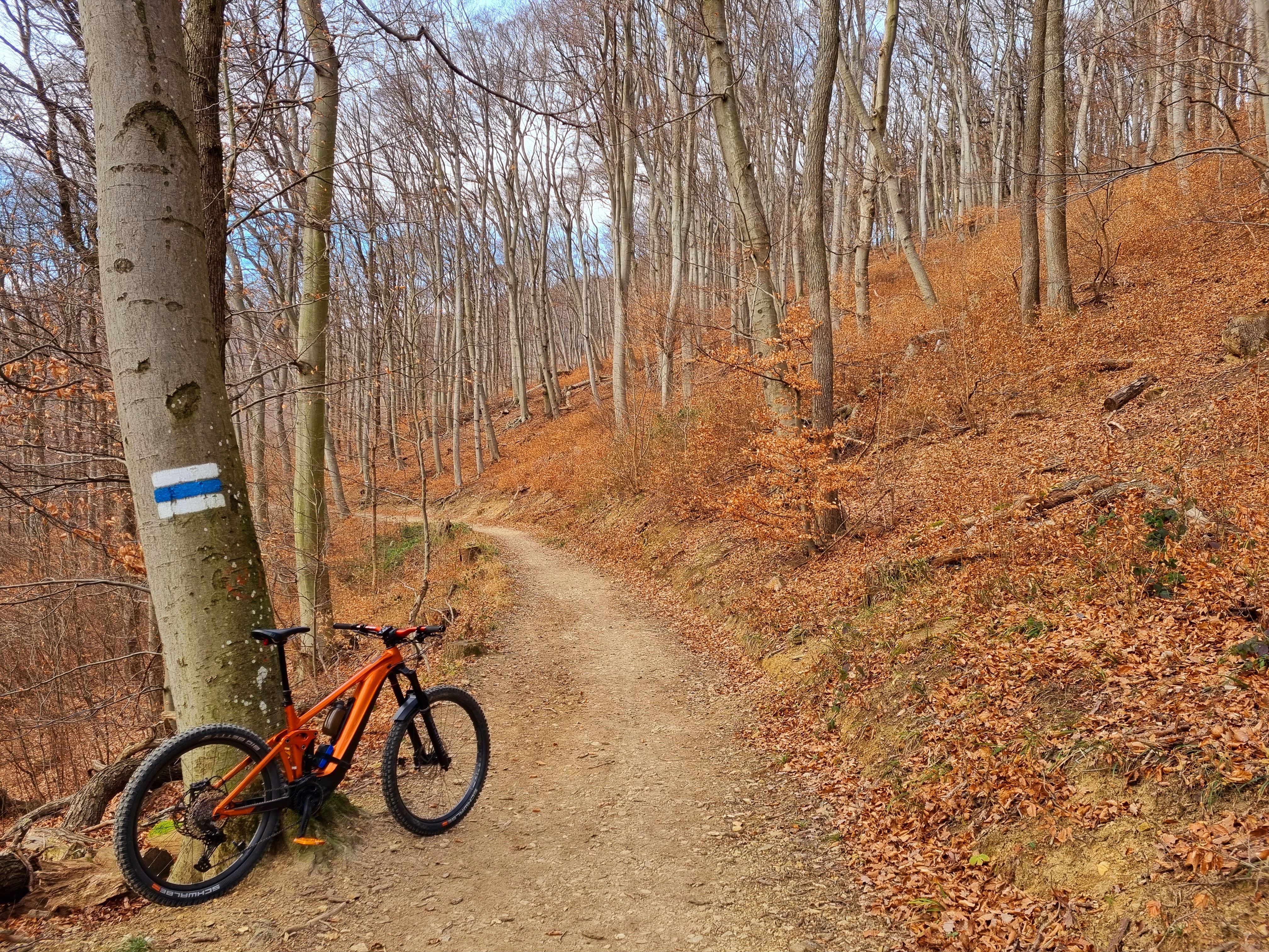 20220113_133139.jpg