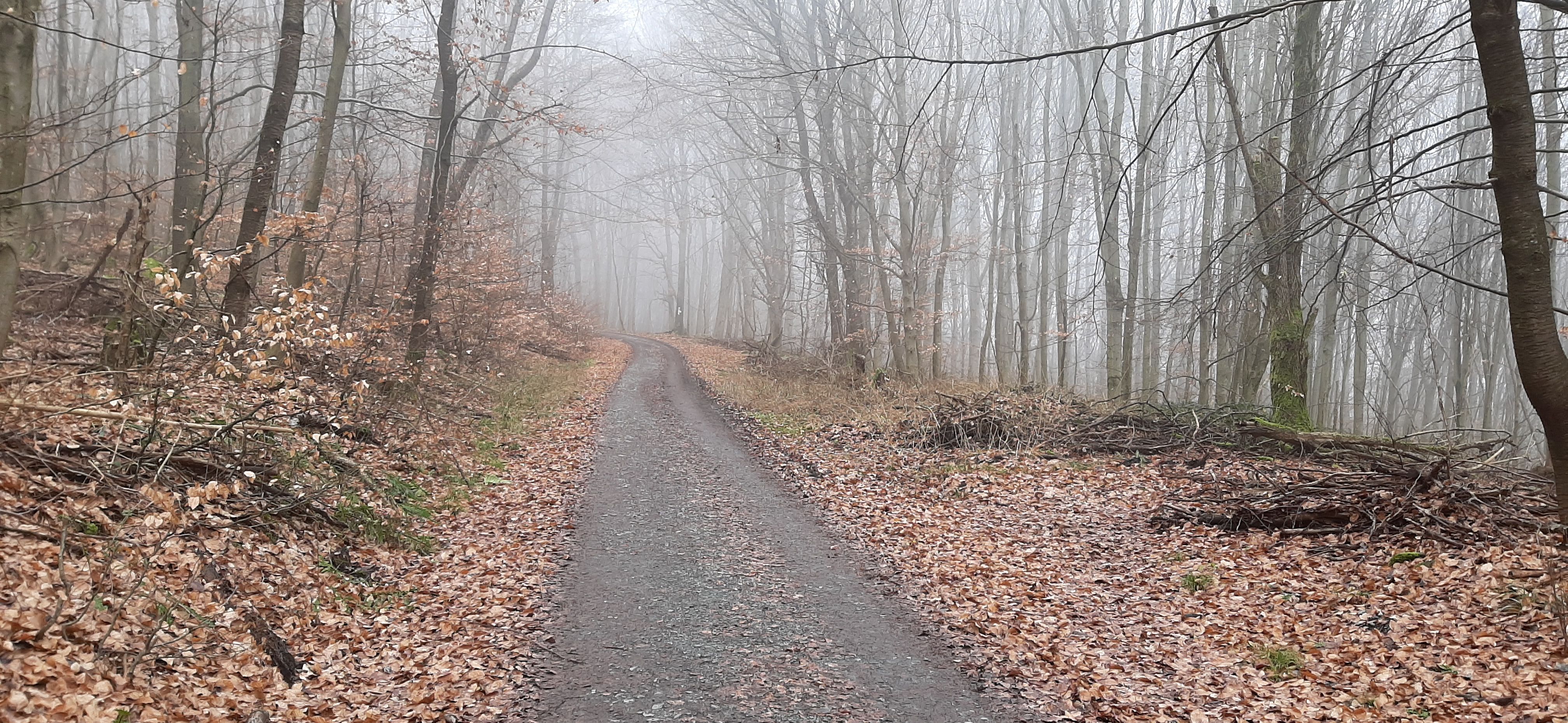 20220115_135507.jpg