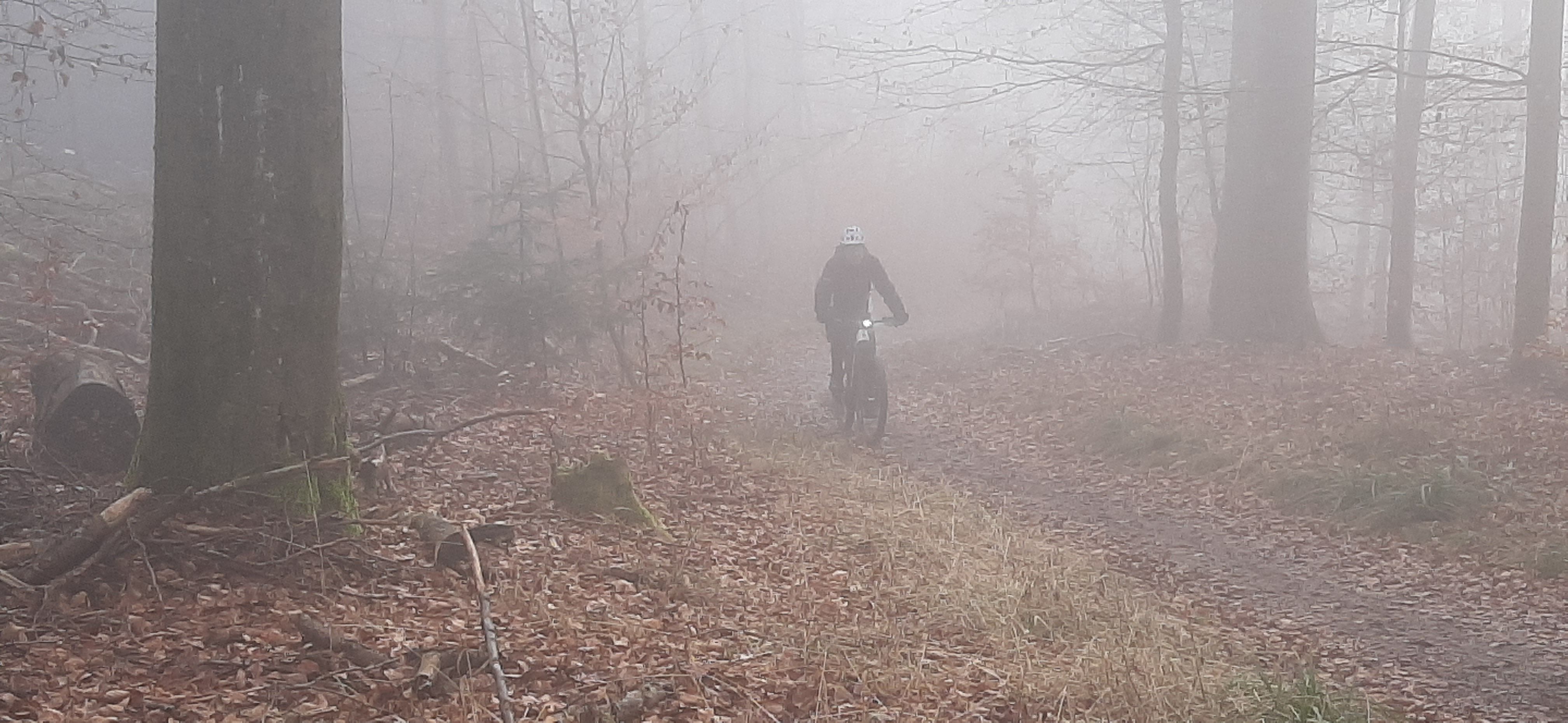 20220115_141253.jpg
