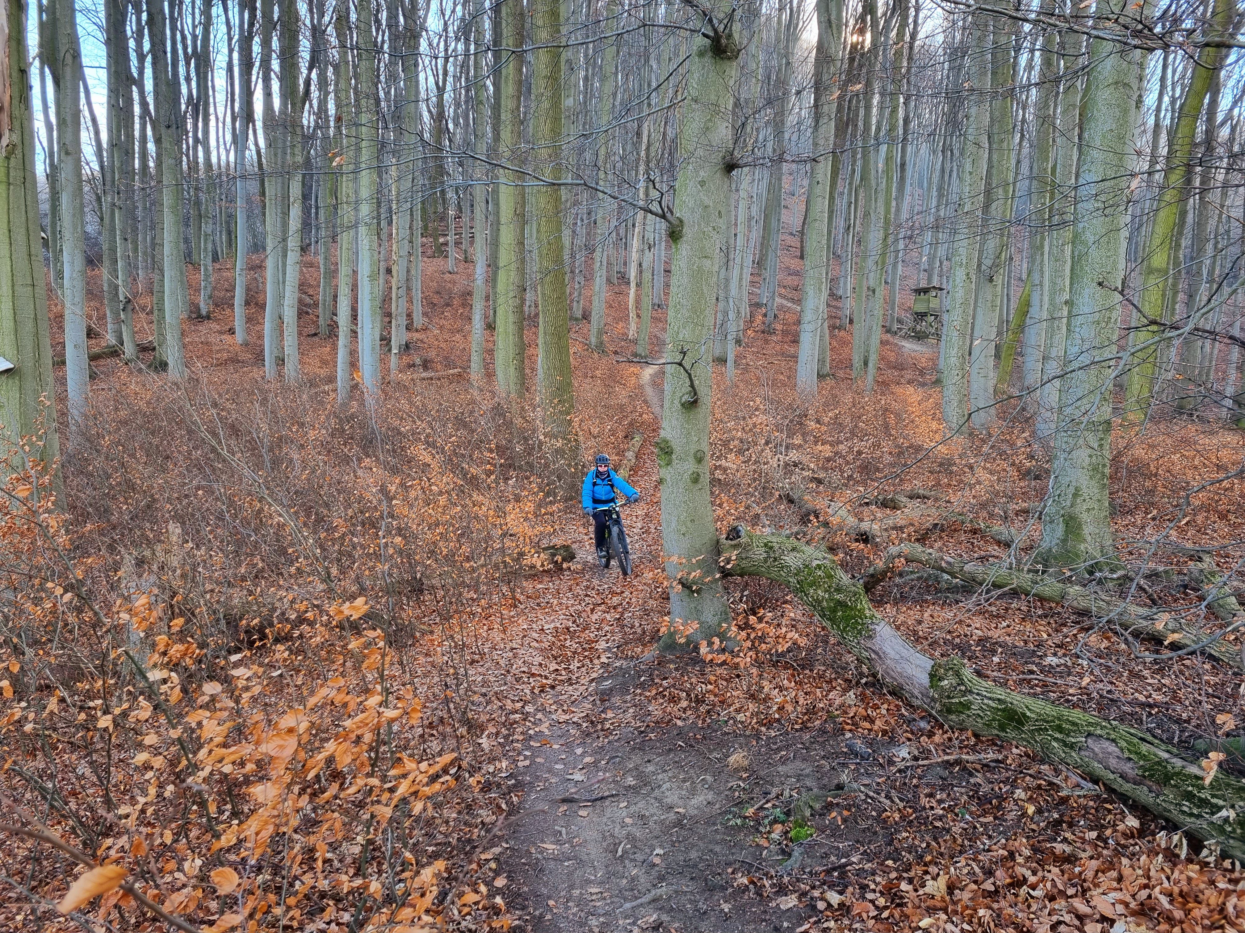 20220116_114217.jpg