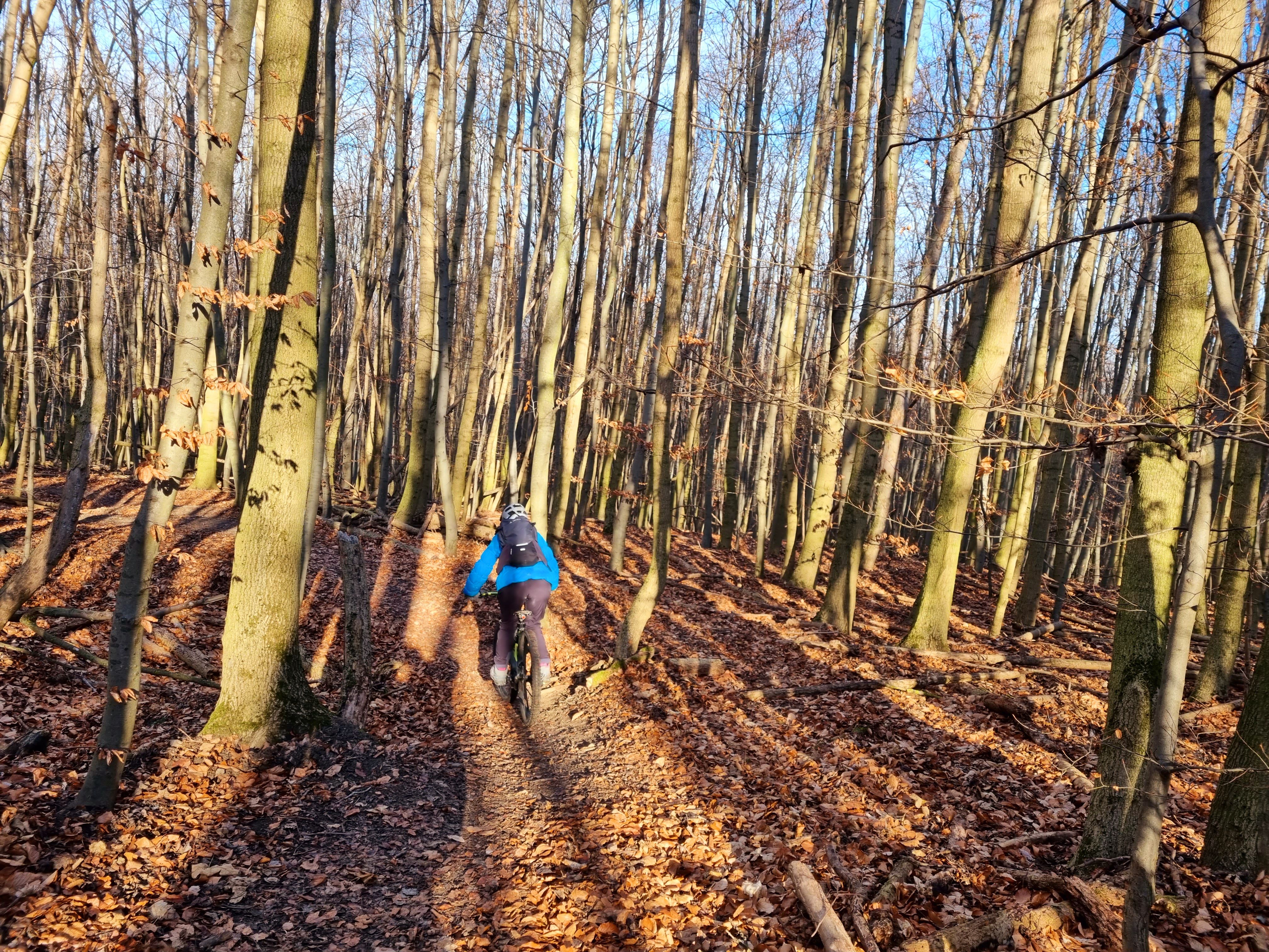 20220116_114457.jpg