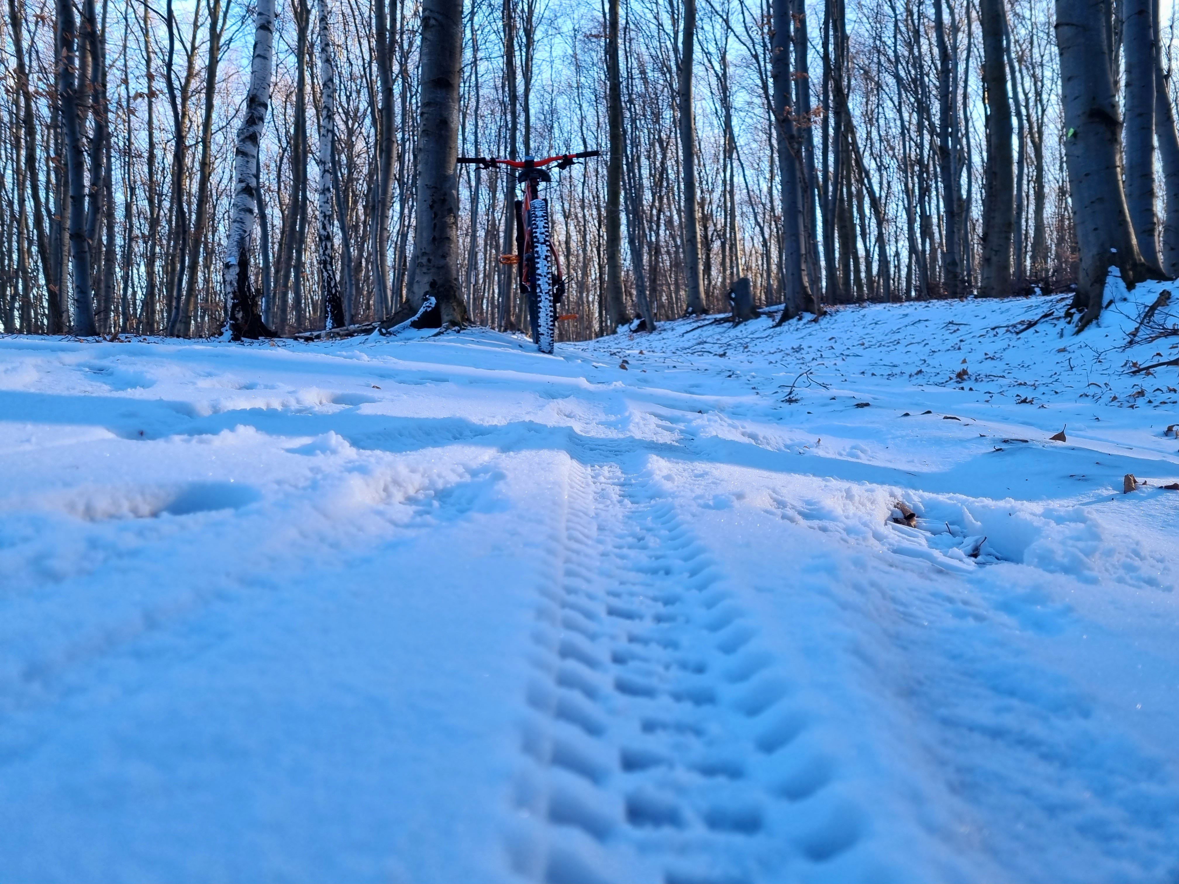 20220121_133800.jpg