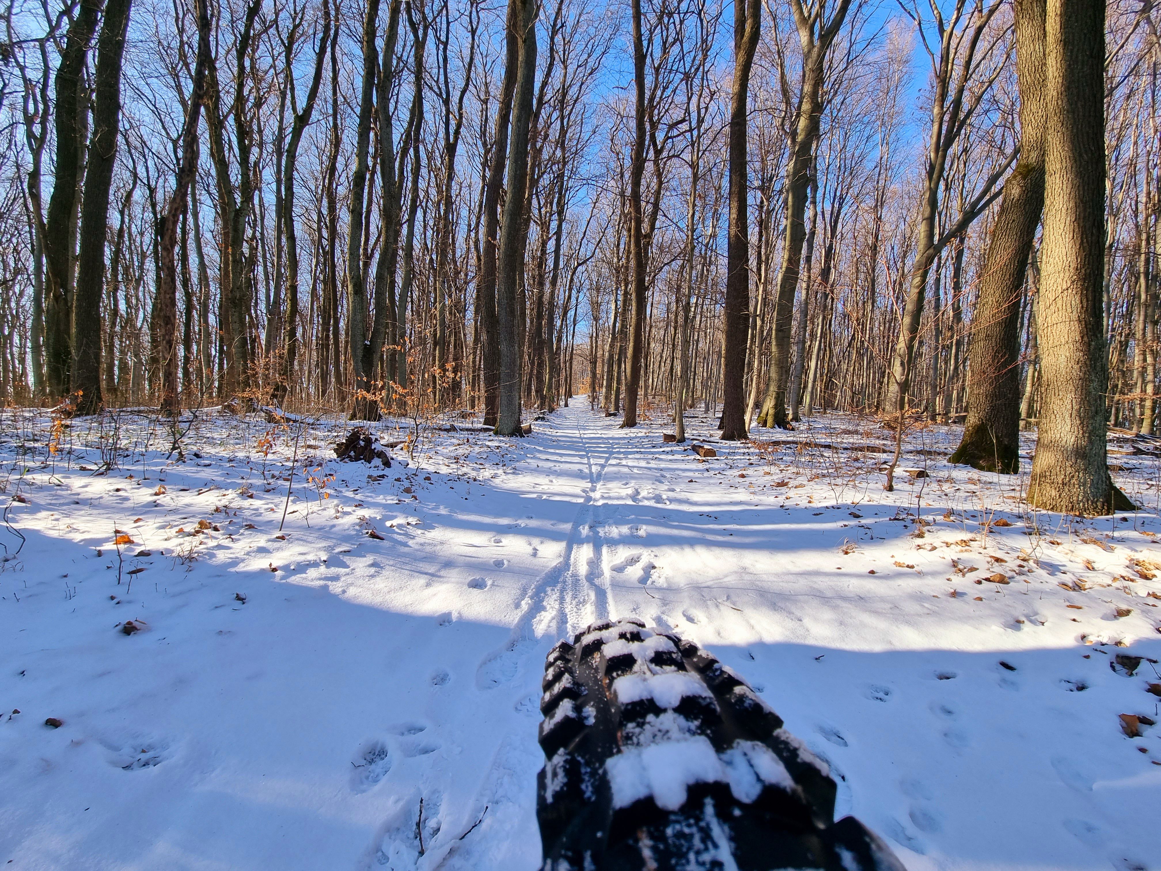 20220121_134119.jpg