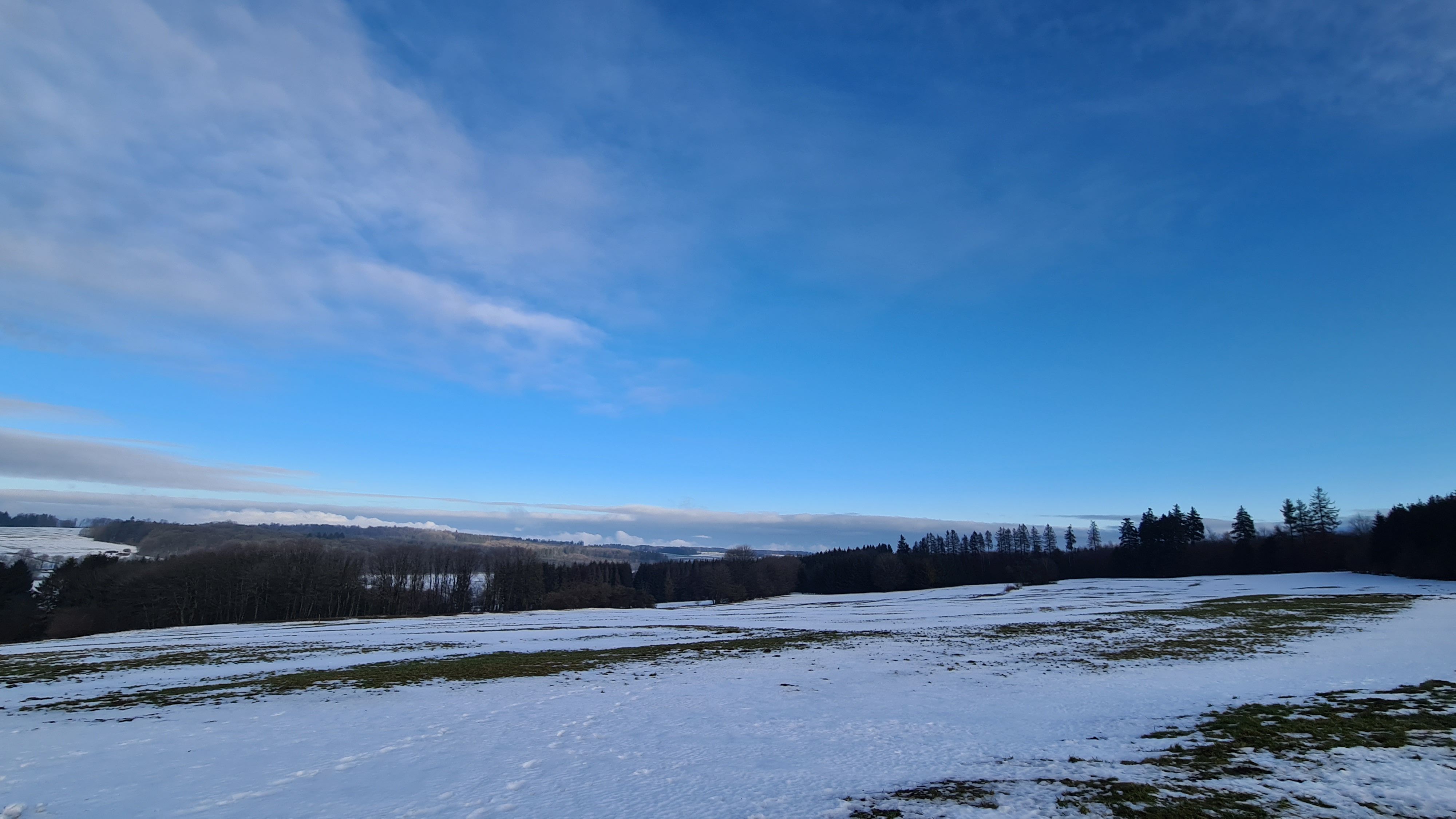 20220123_093654.jpg