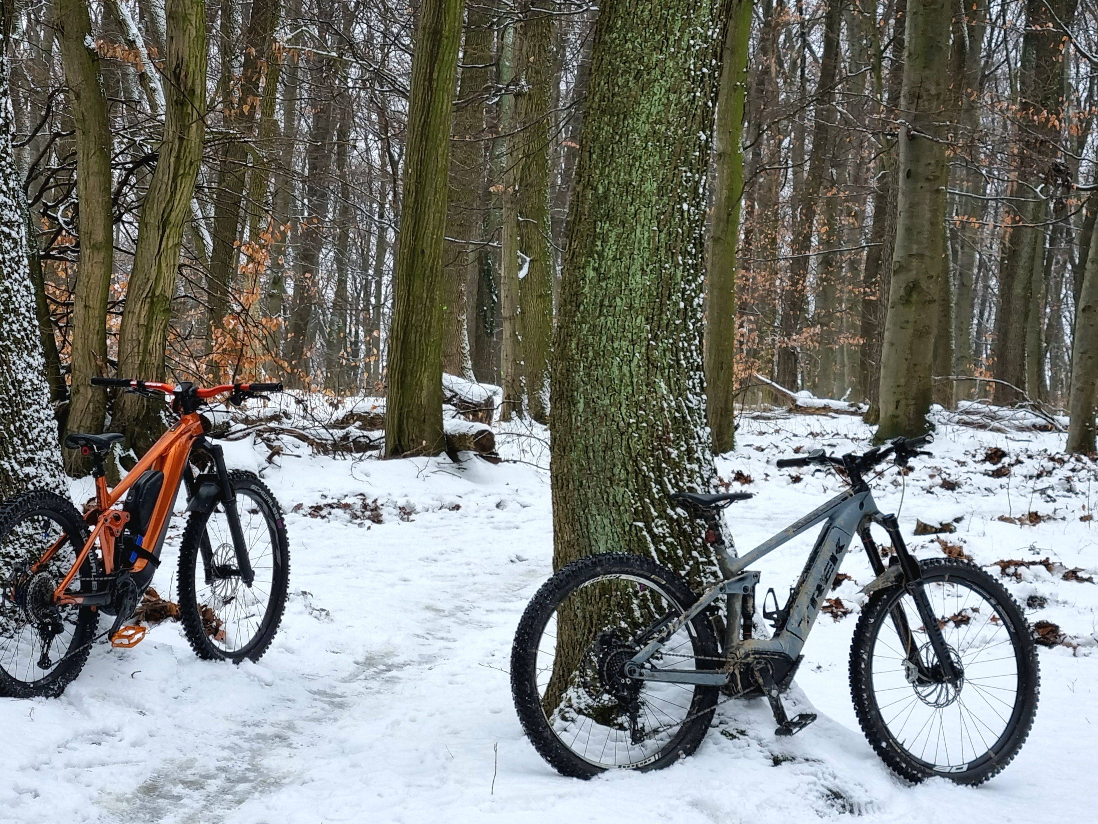 20220125_134915.jpg