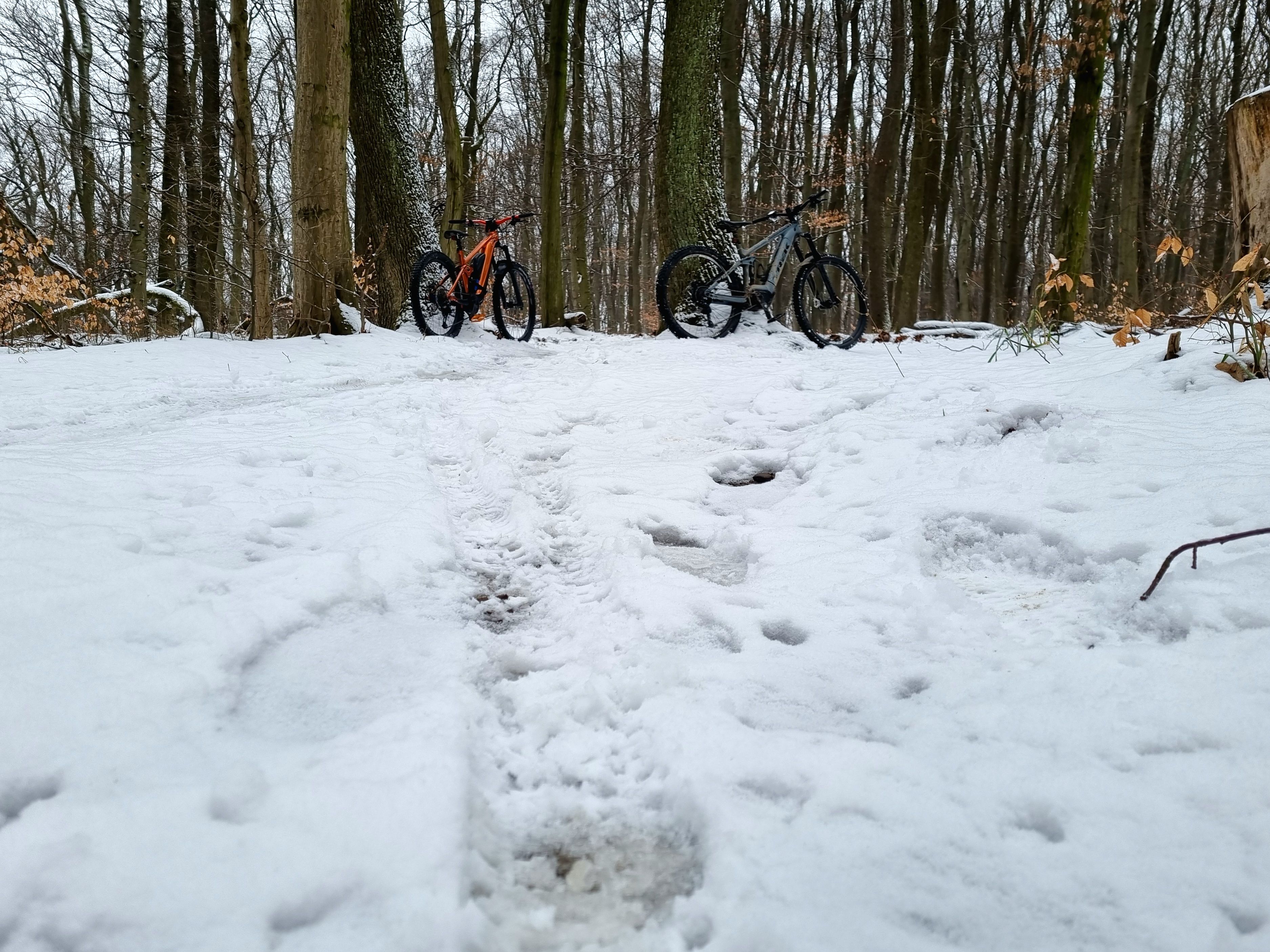 20220125_134935.jpg