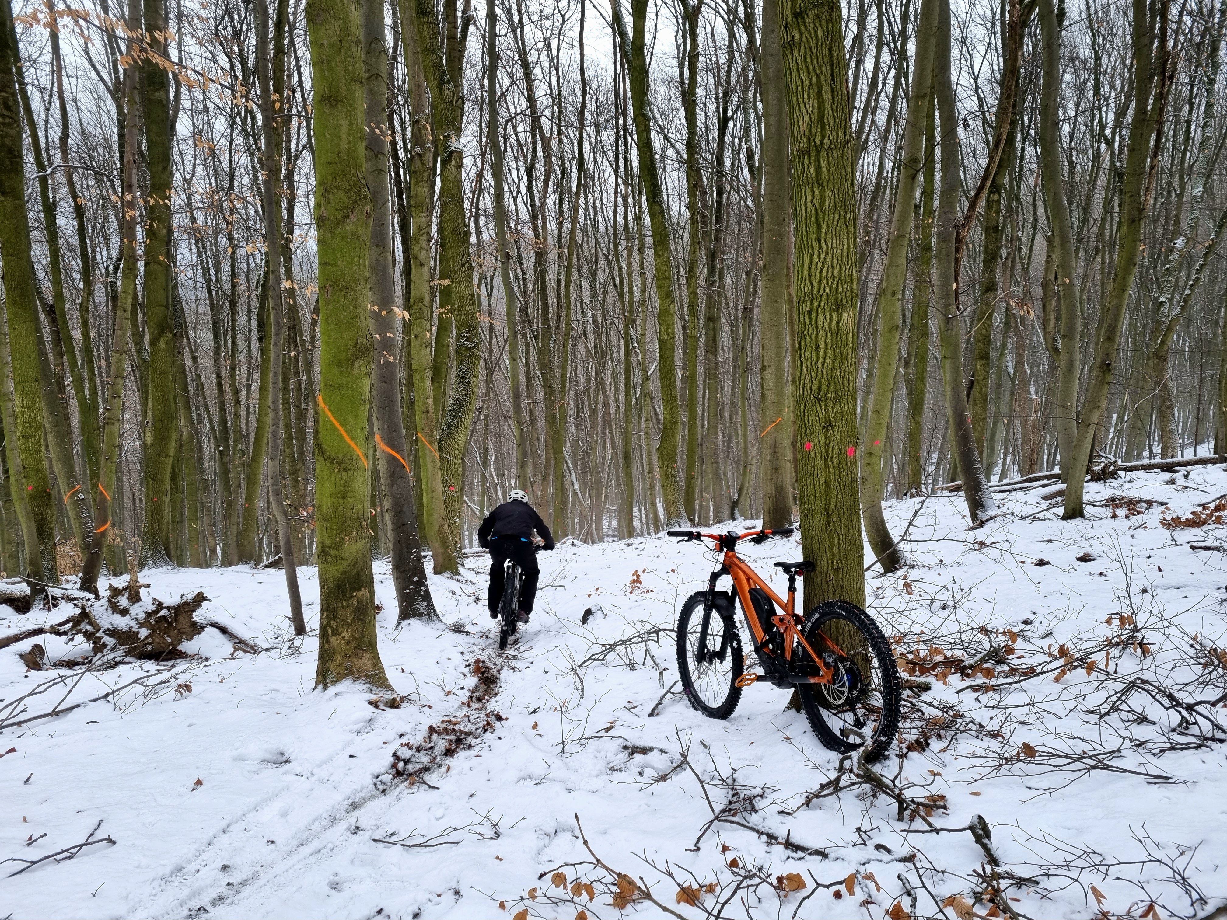 20220125_140418.jpg