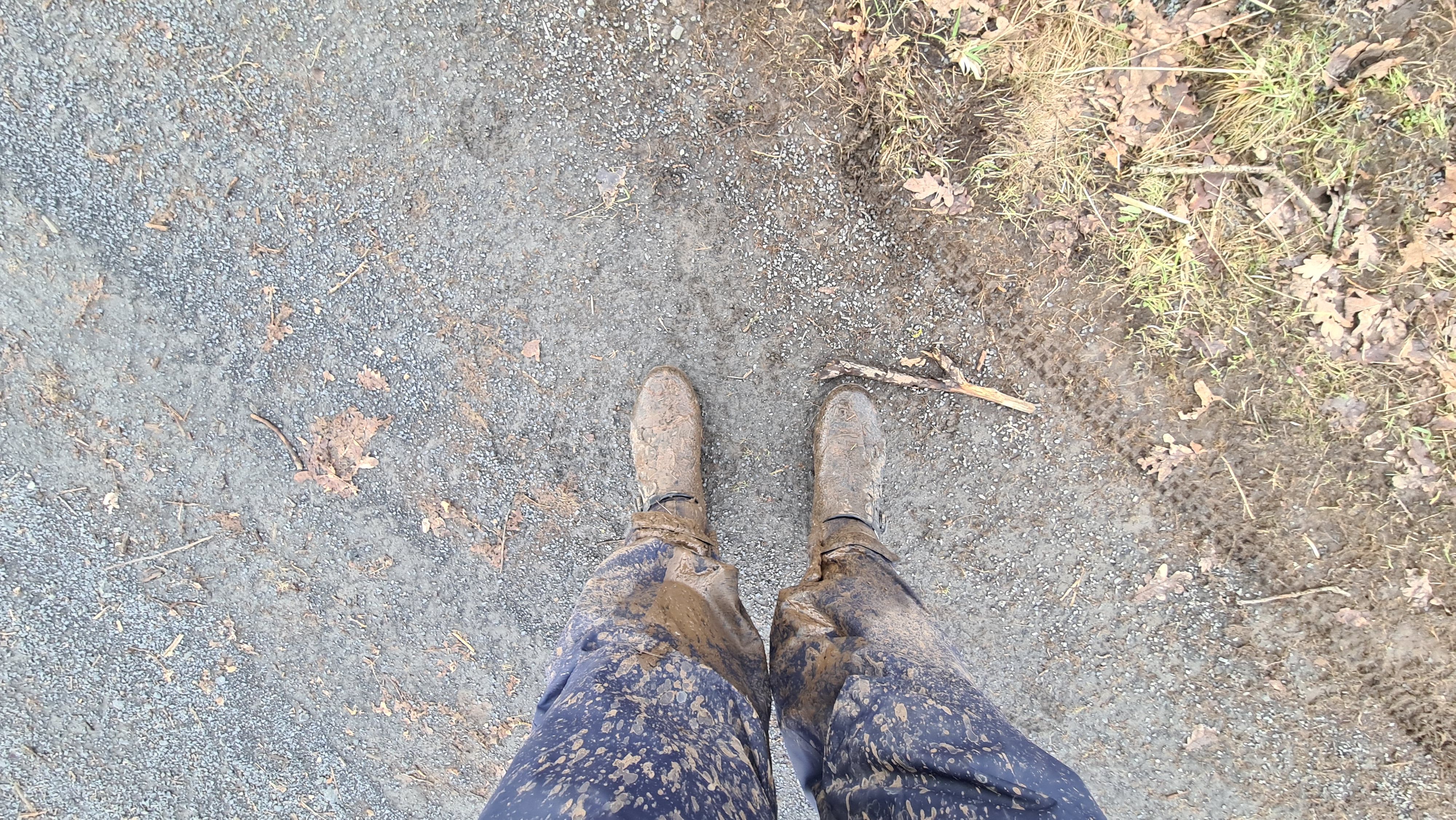 20220130_110236.jpg