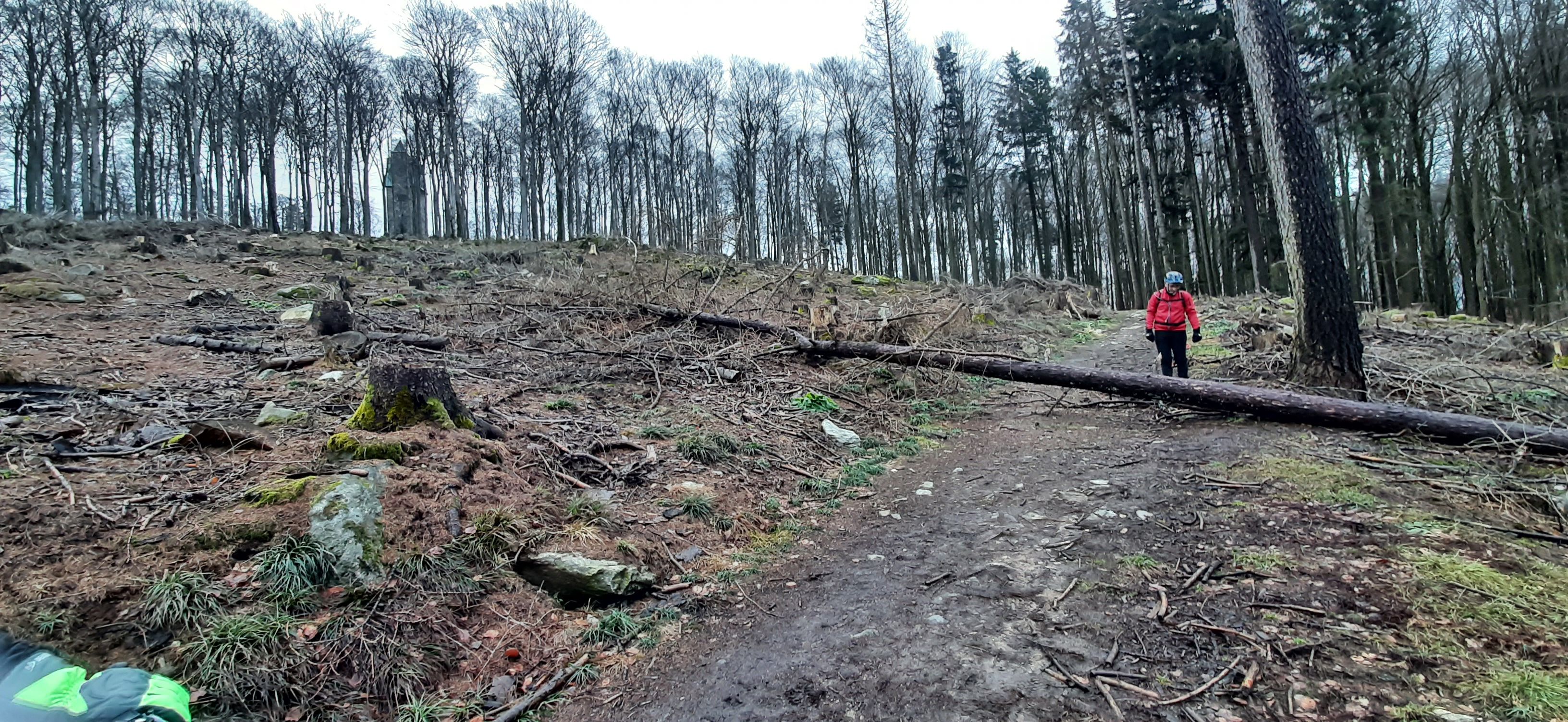 20220205_150921.jpg