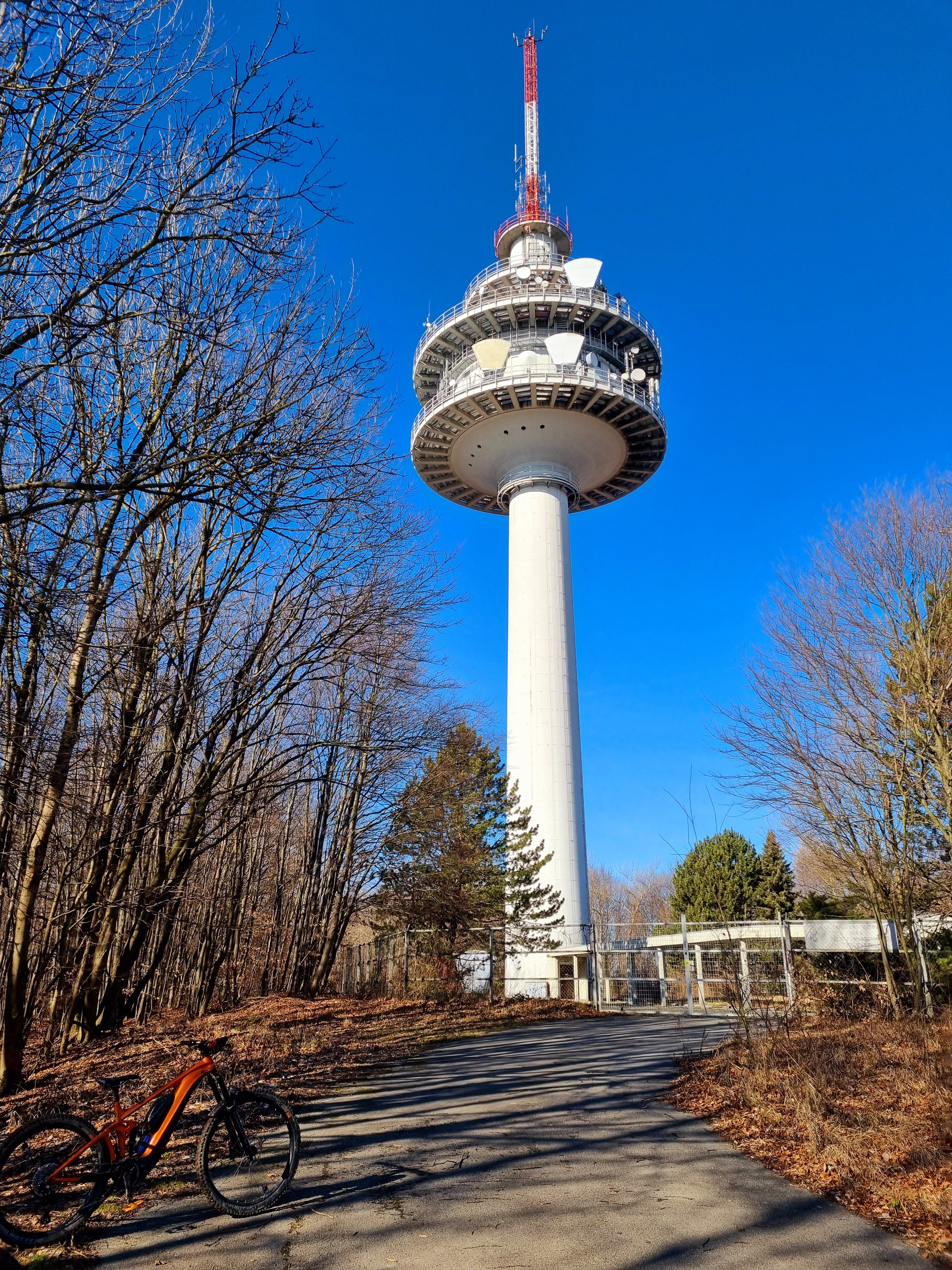 20220213_110108.jpg