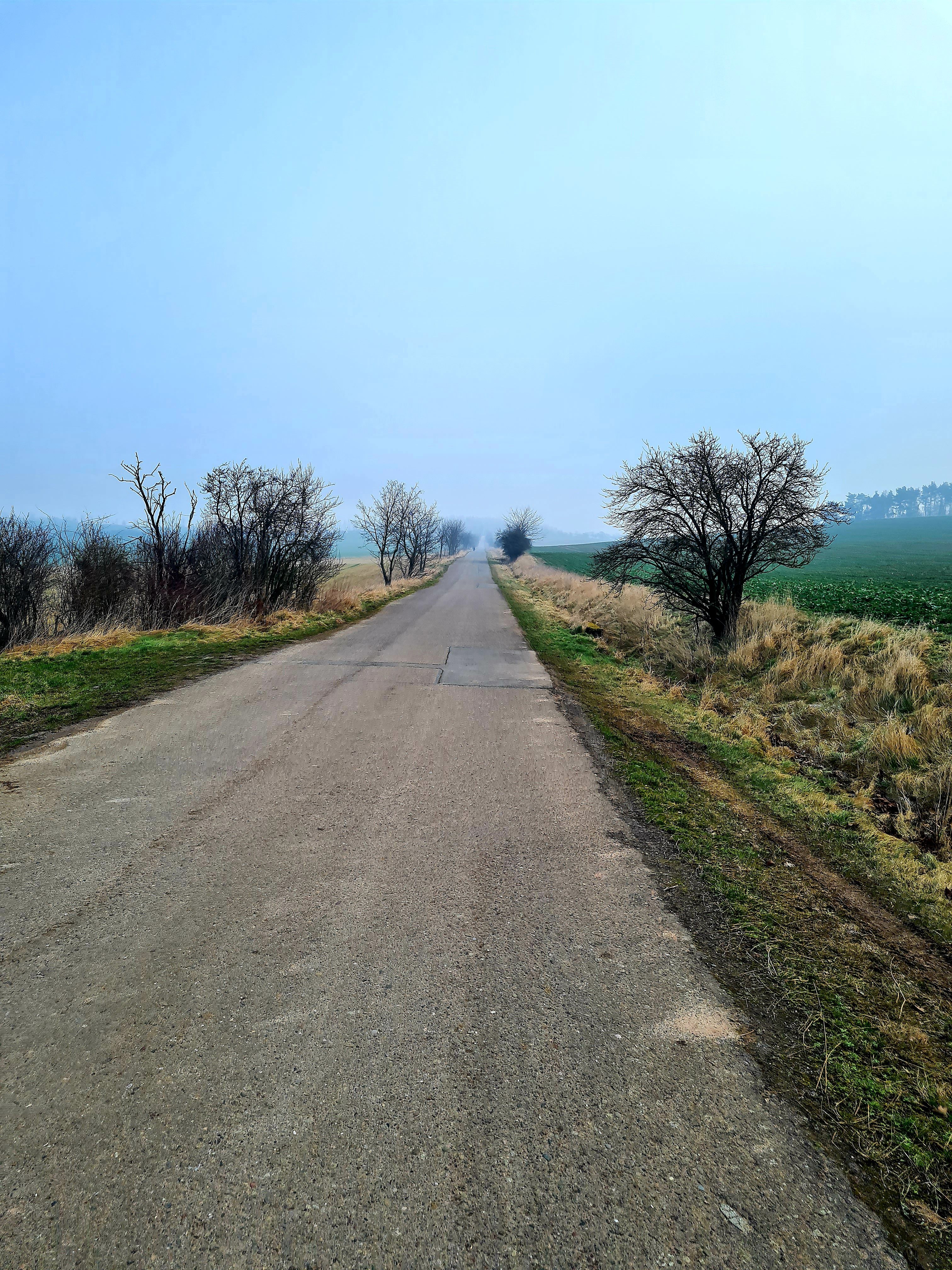 20220227_092707.jpg