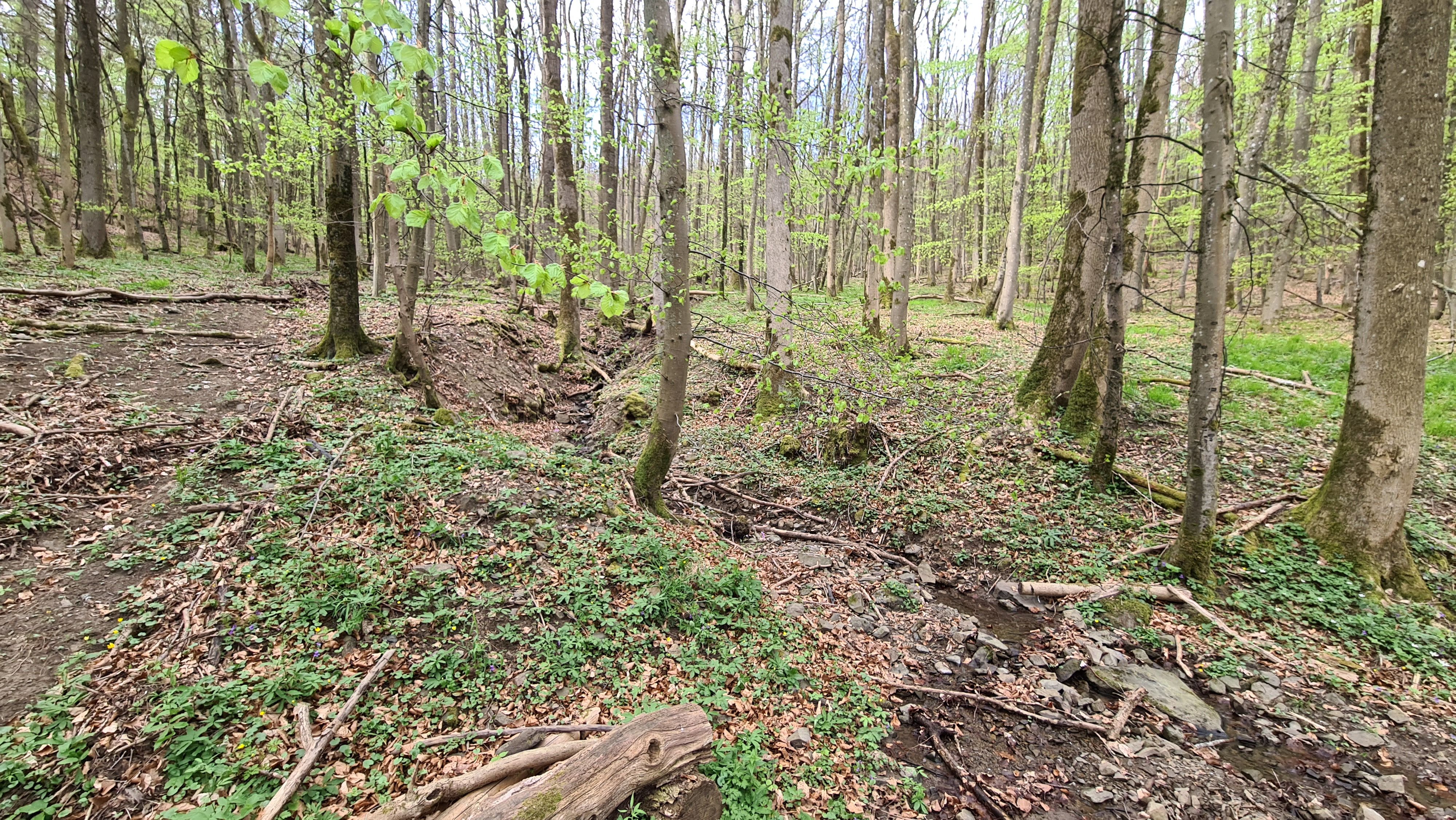 20220424_103616.jpg