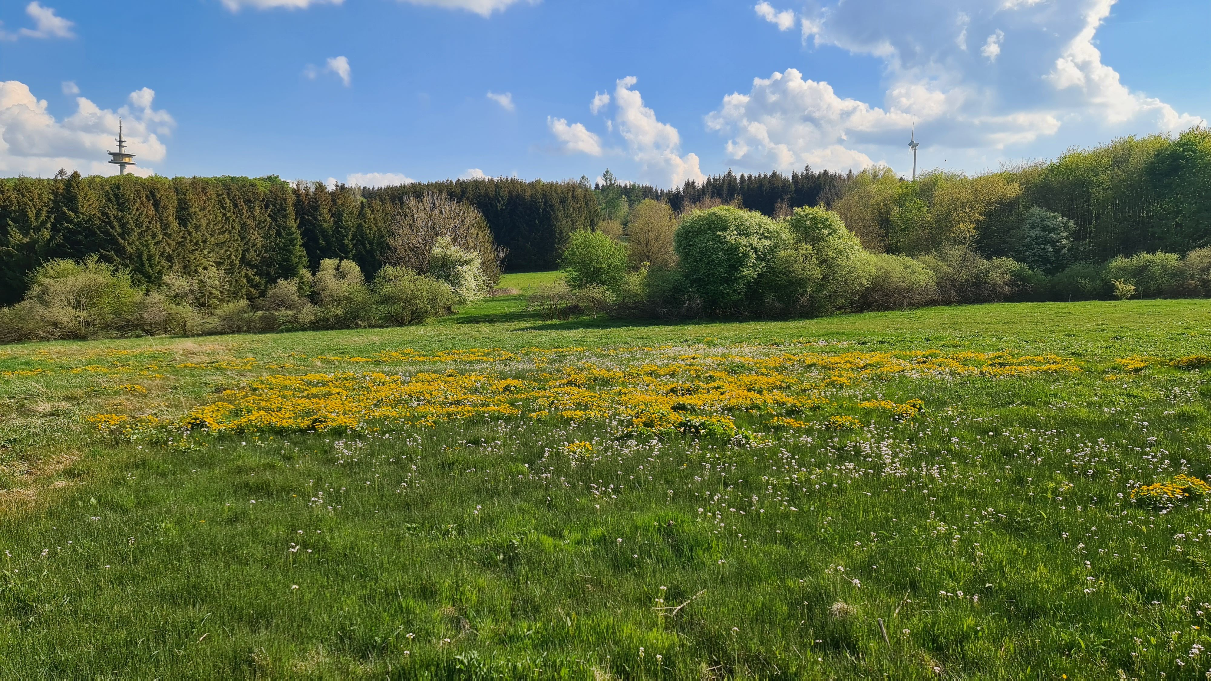 20220509_173407.jpg