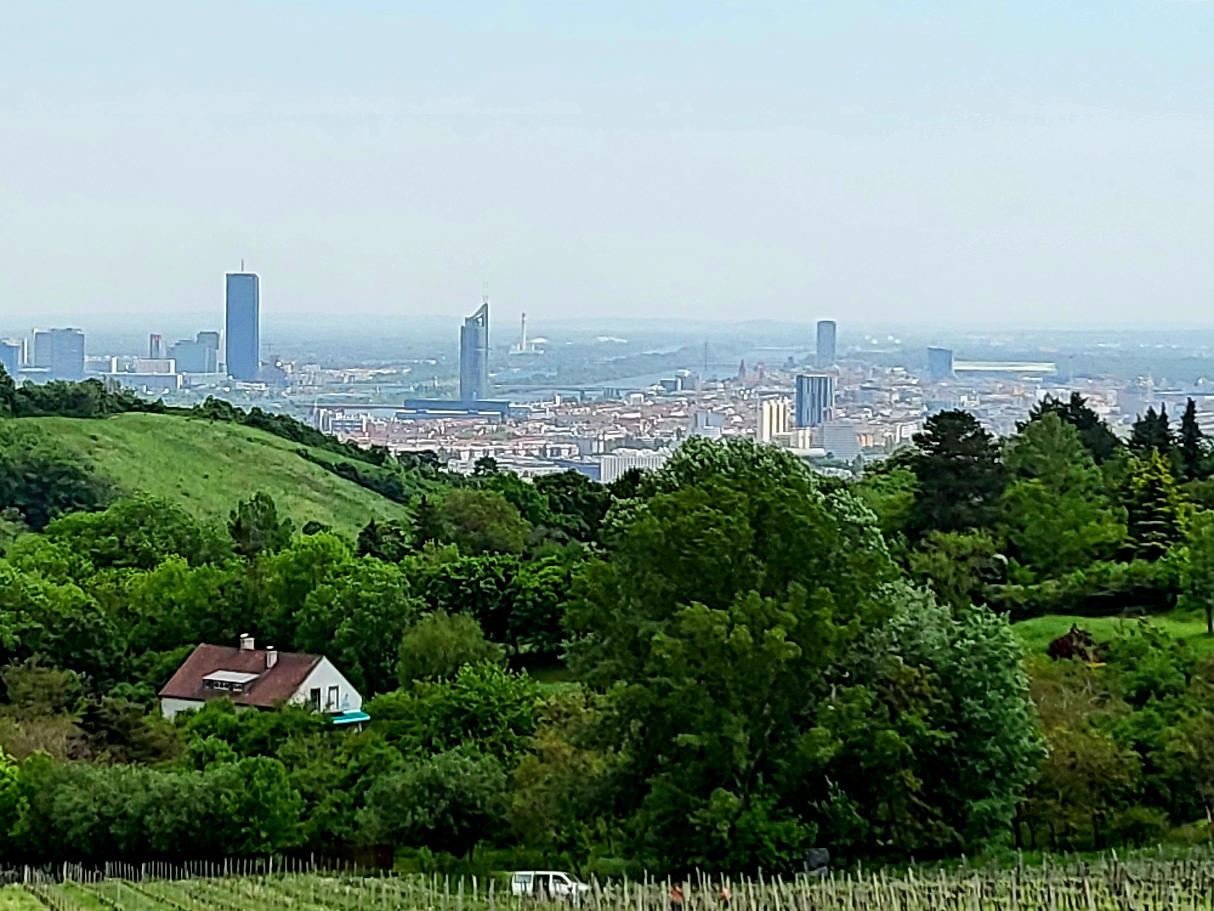 20220512_140357.jpg