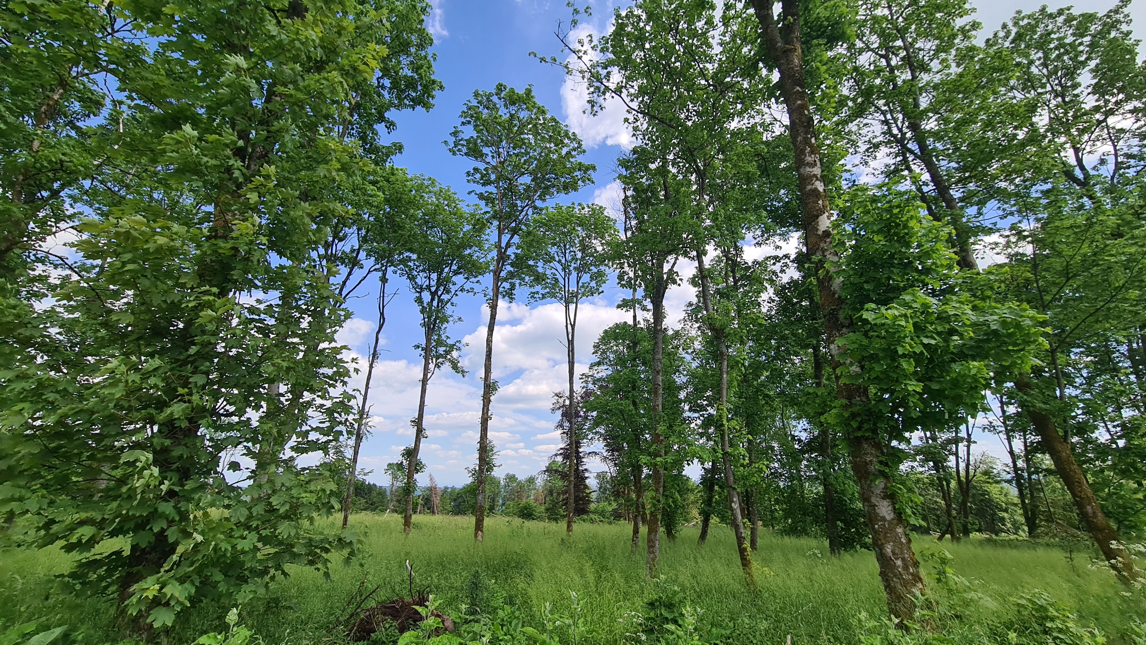 20220522_142412.jpg