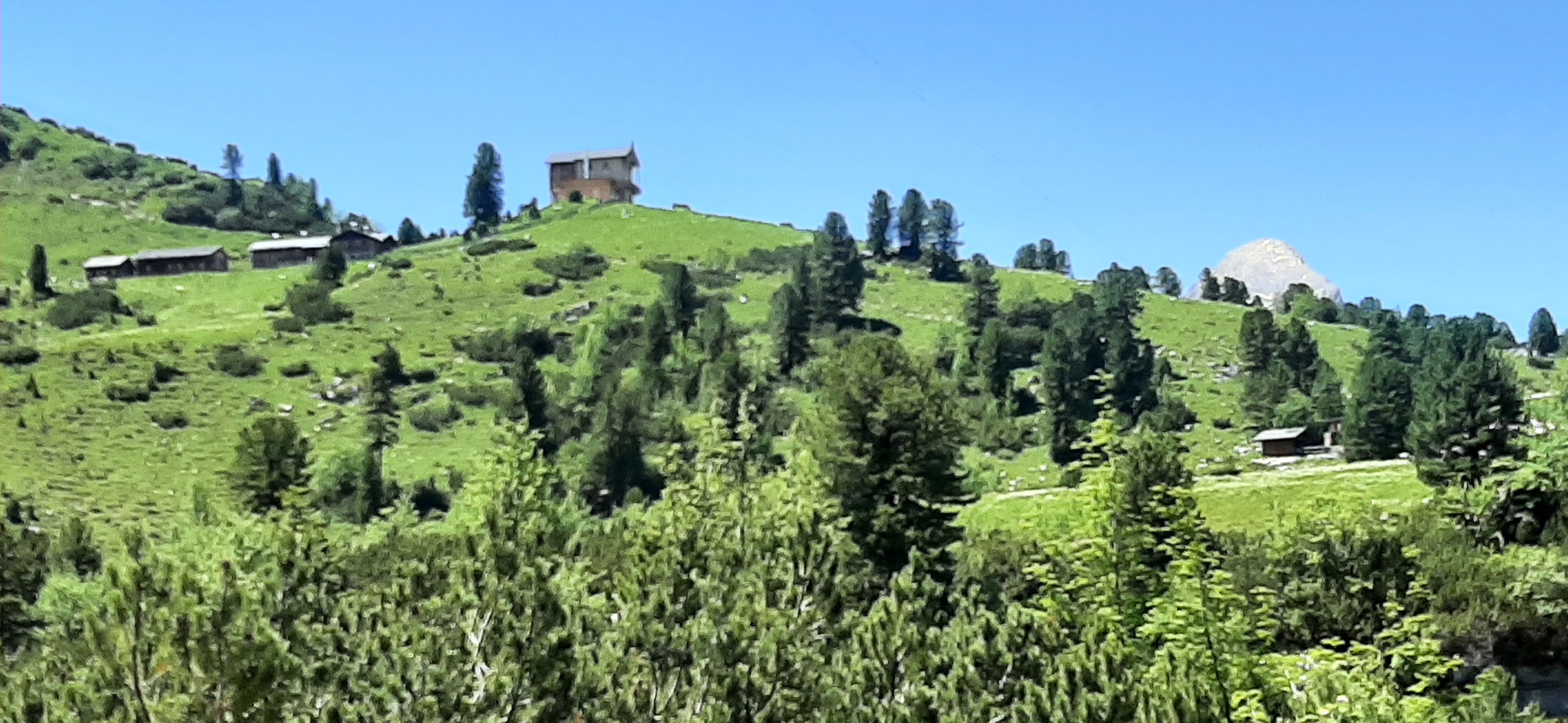 20220612_132419.jpg