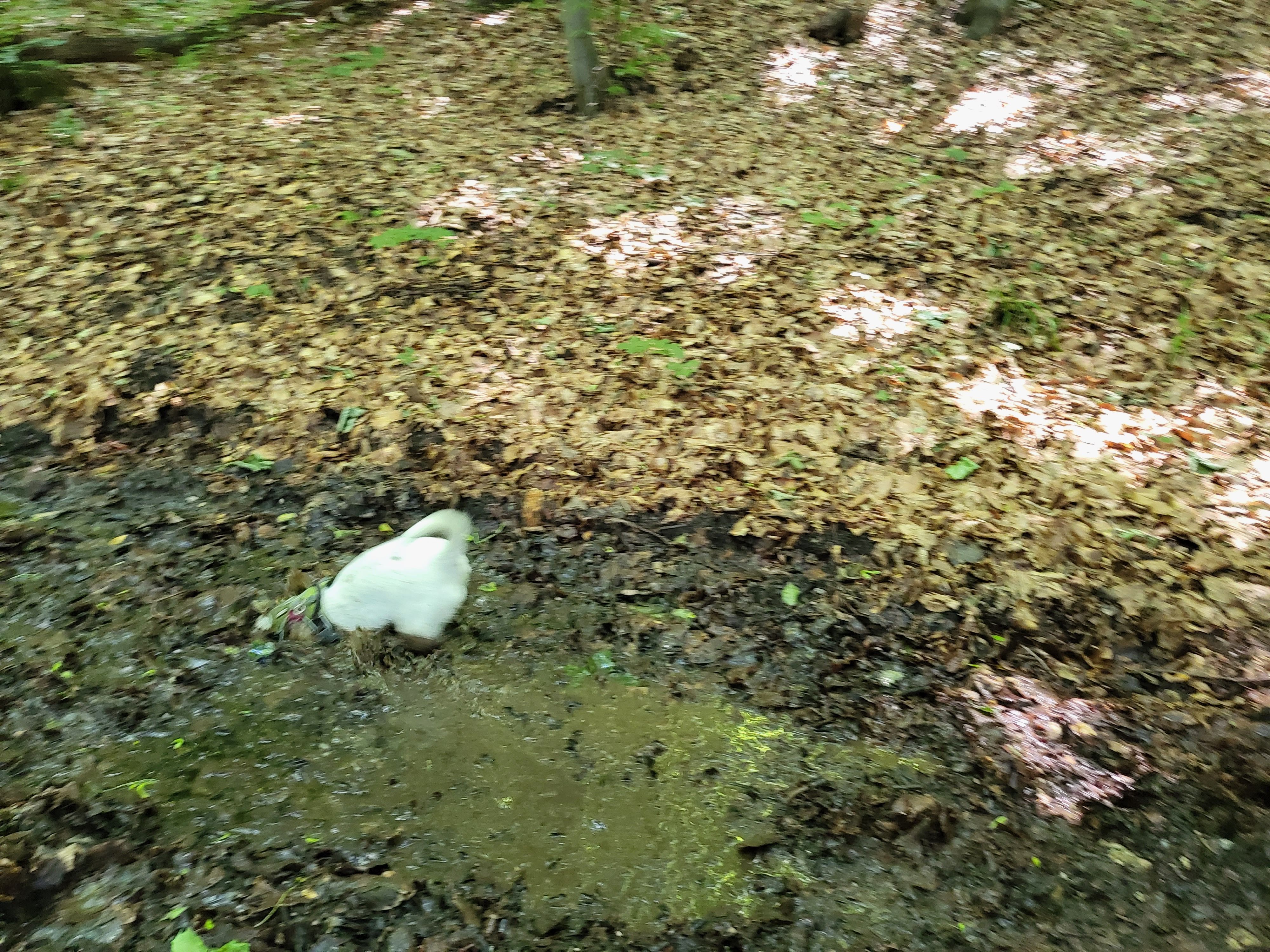 20220615_135801.jpg