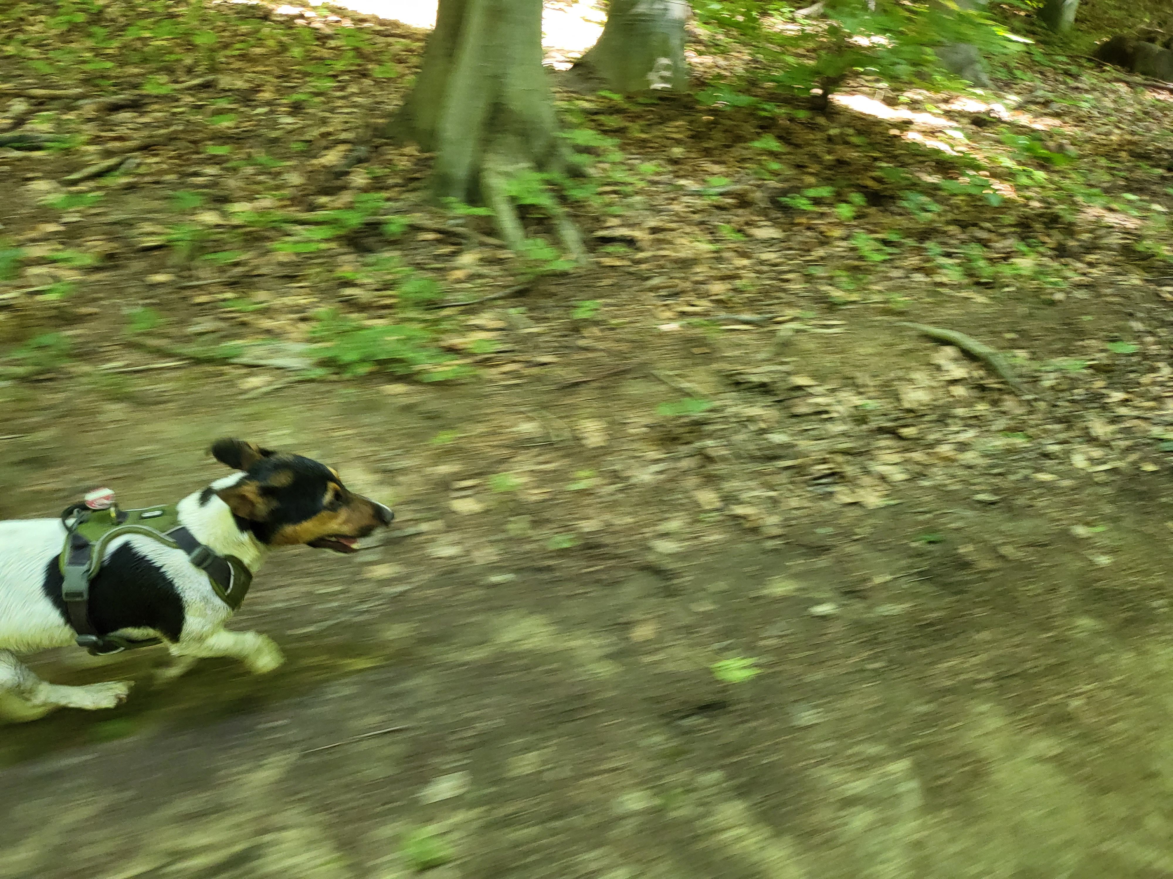20220615_140656.jpg