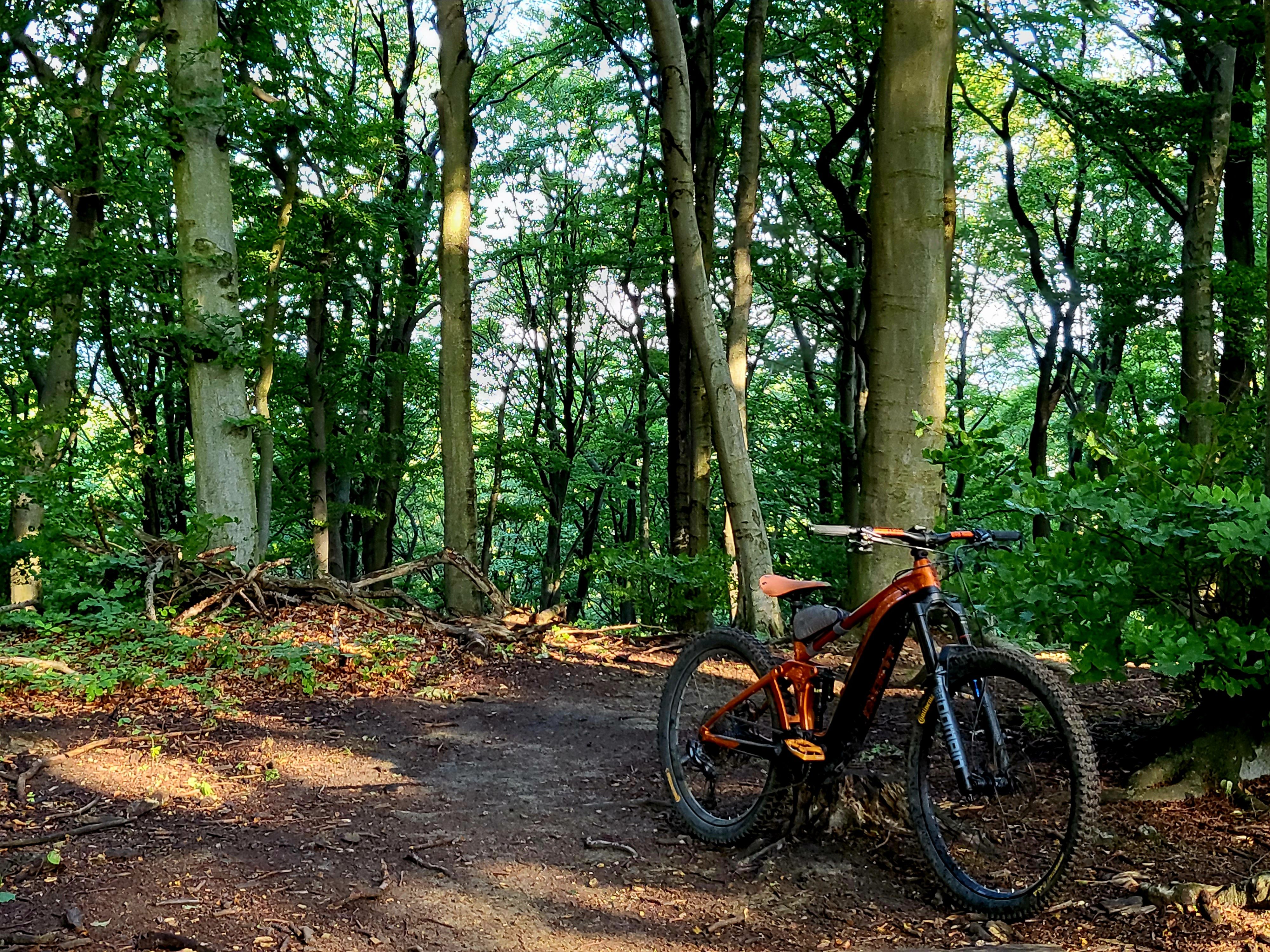 20220715_075806.jpg