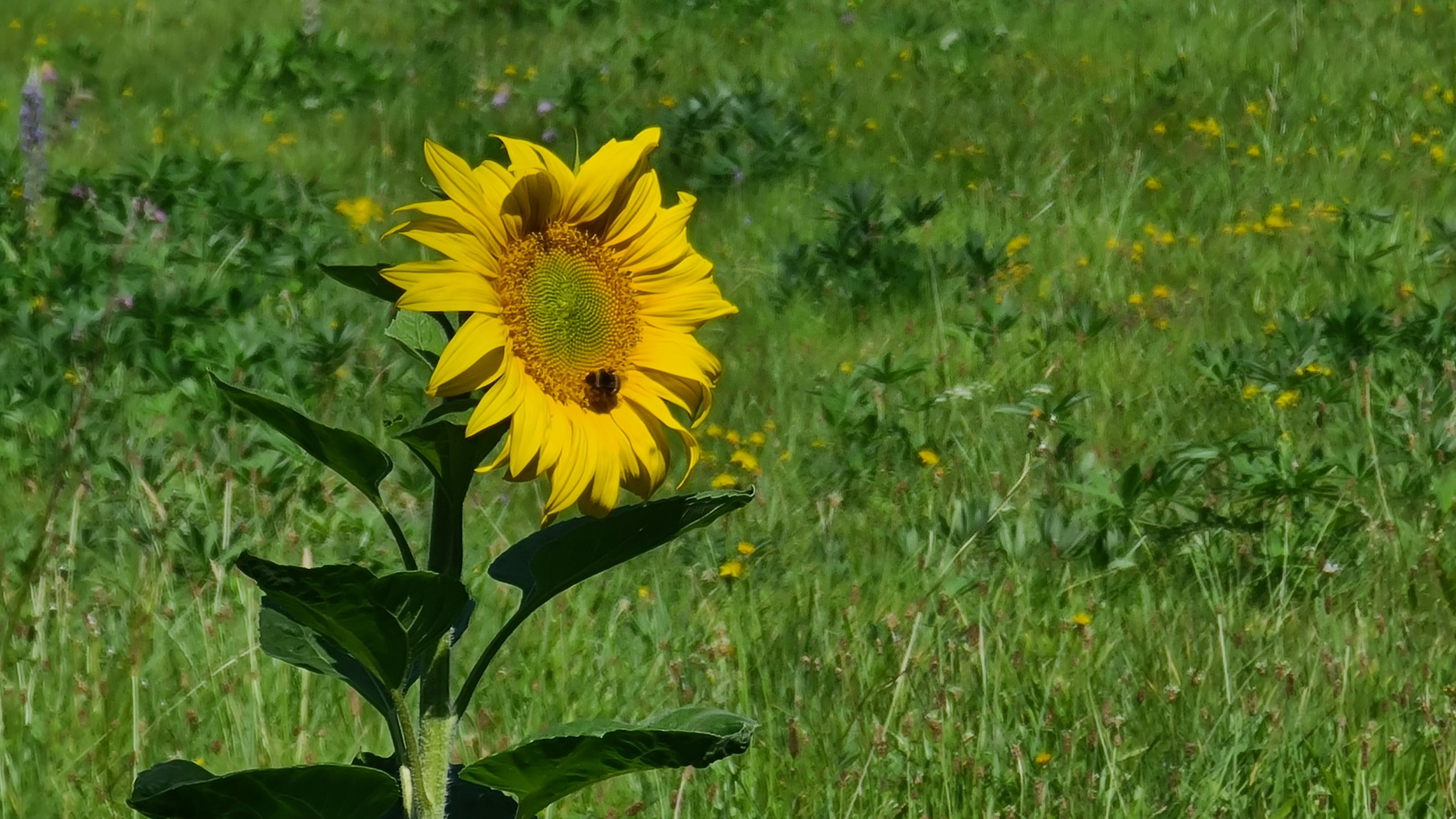 20220724_111107.jpg