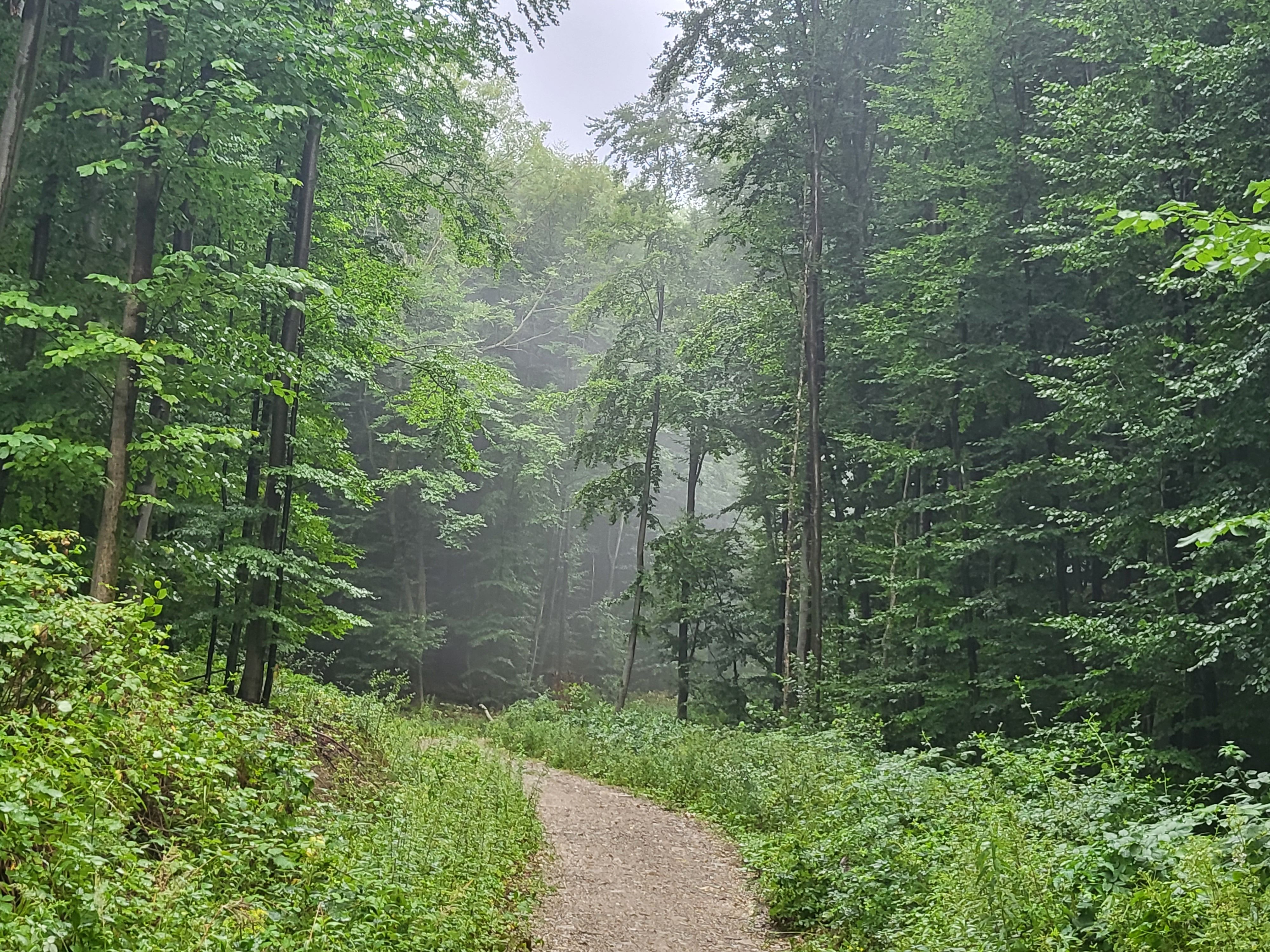 20220726_091946.jpg