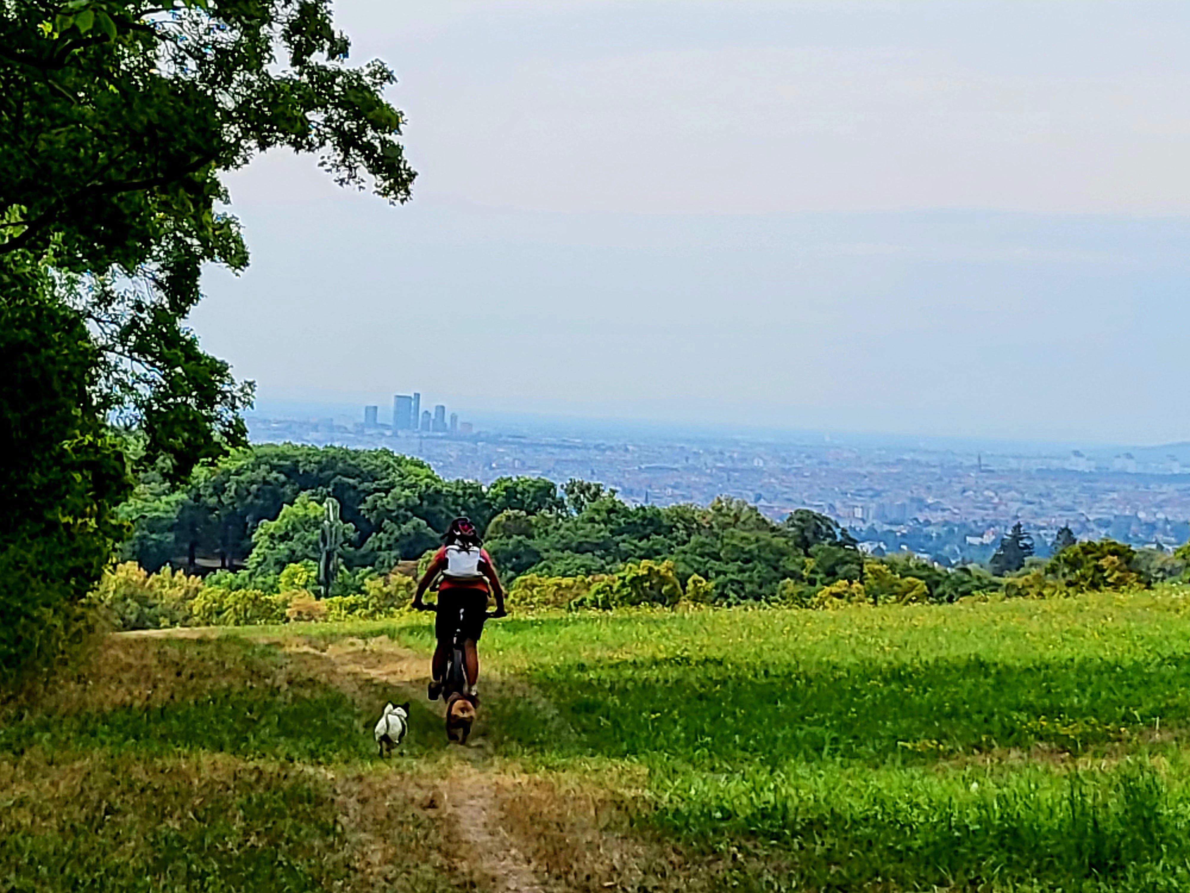 20220813_094048.jpg