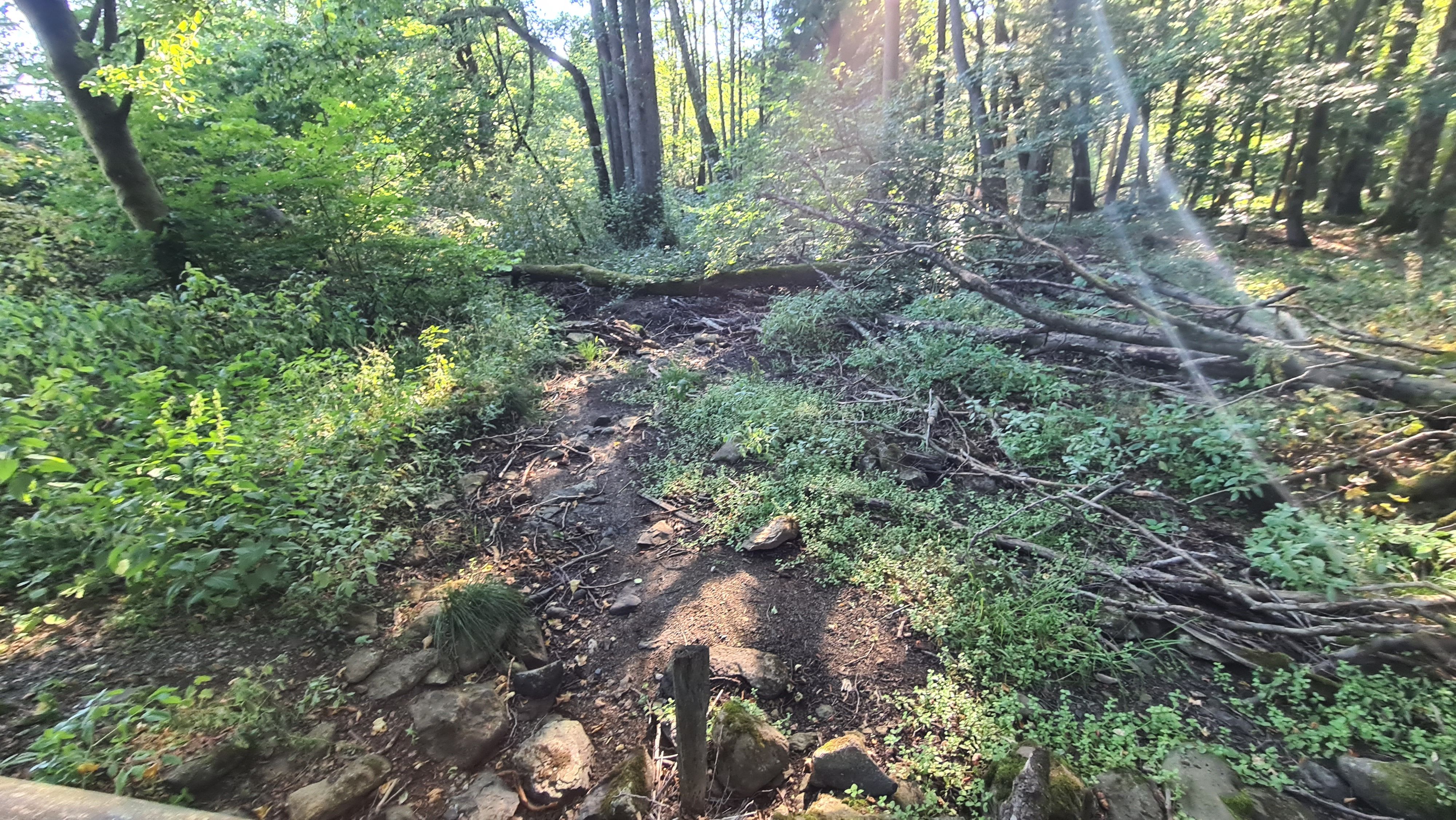 20220814_093546.jpg