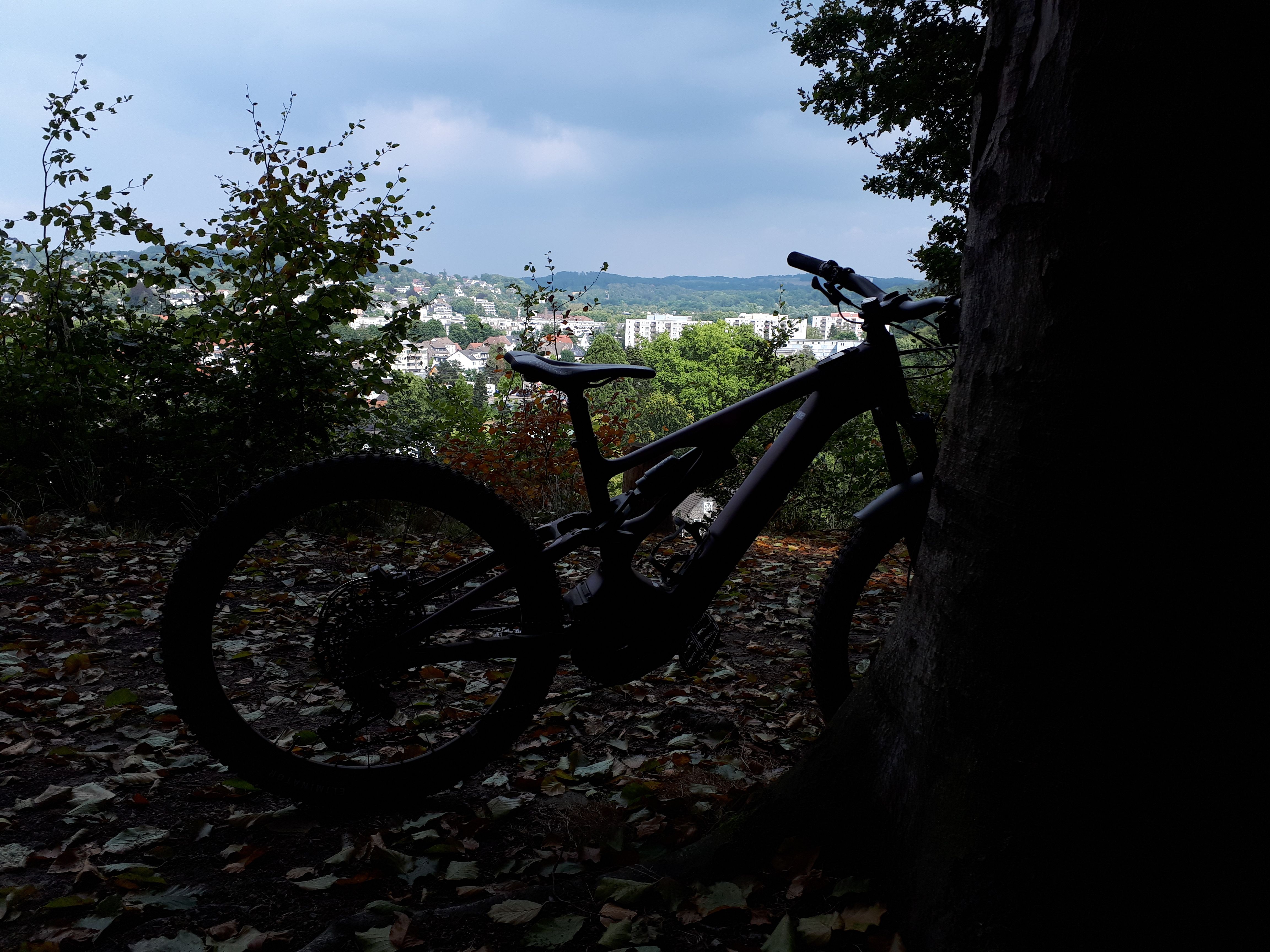 20220820_155617.jpg