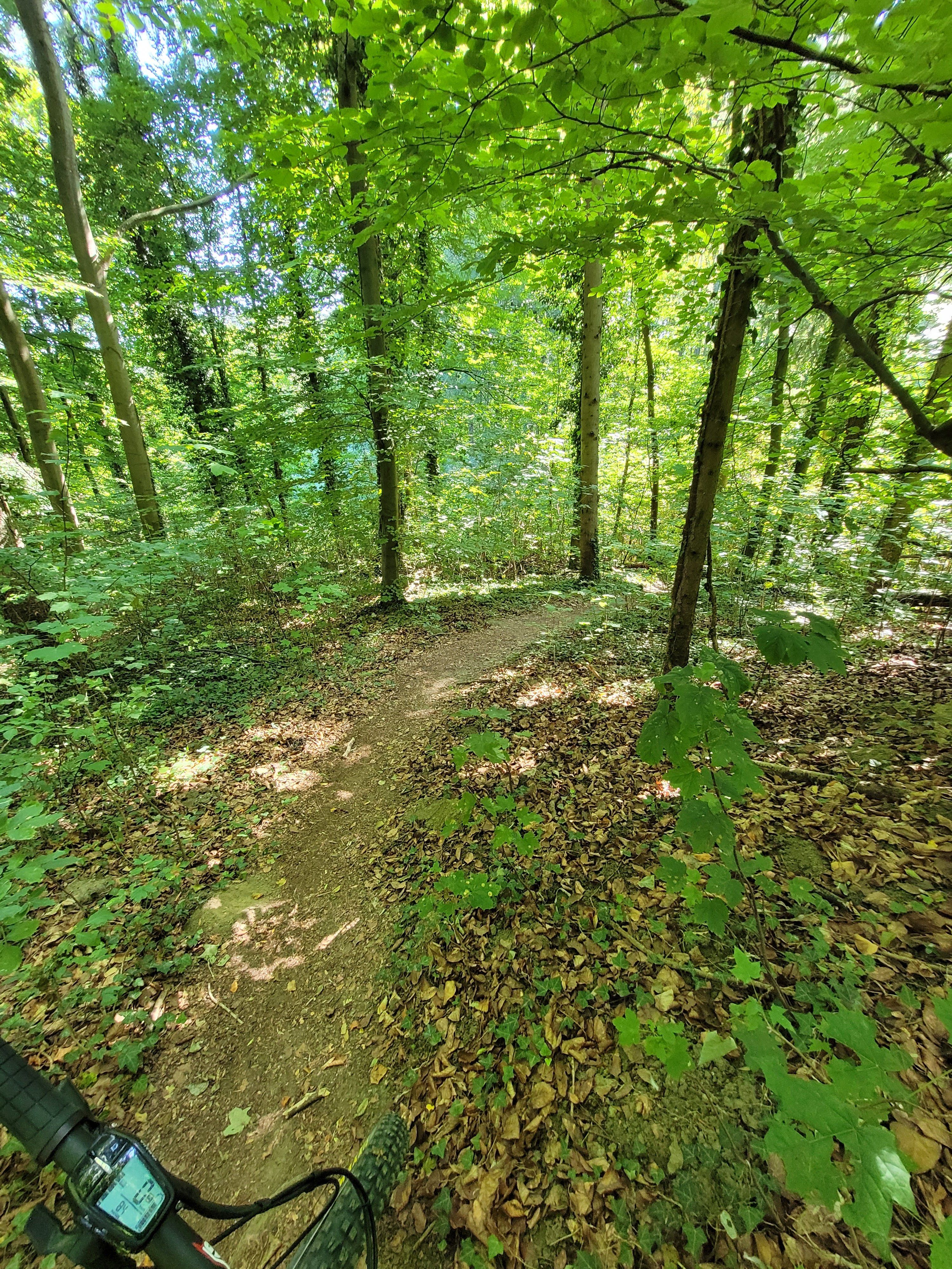 20220821_111828.jpg