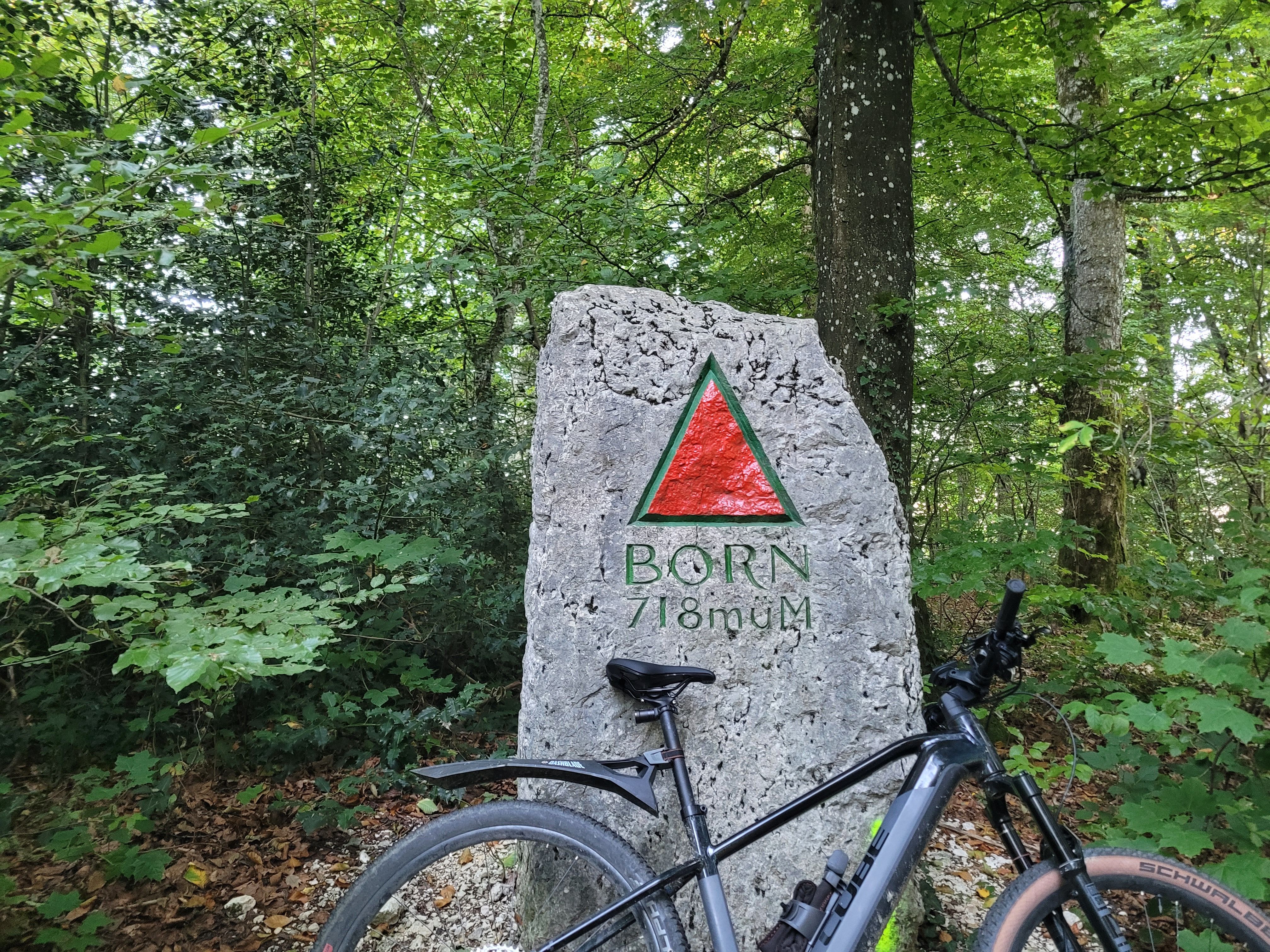 20220822_192603.jpg