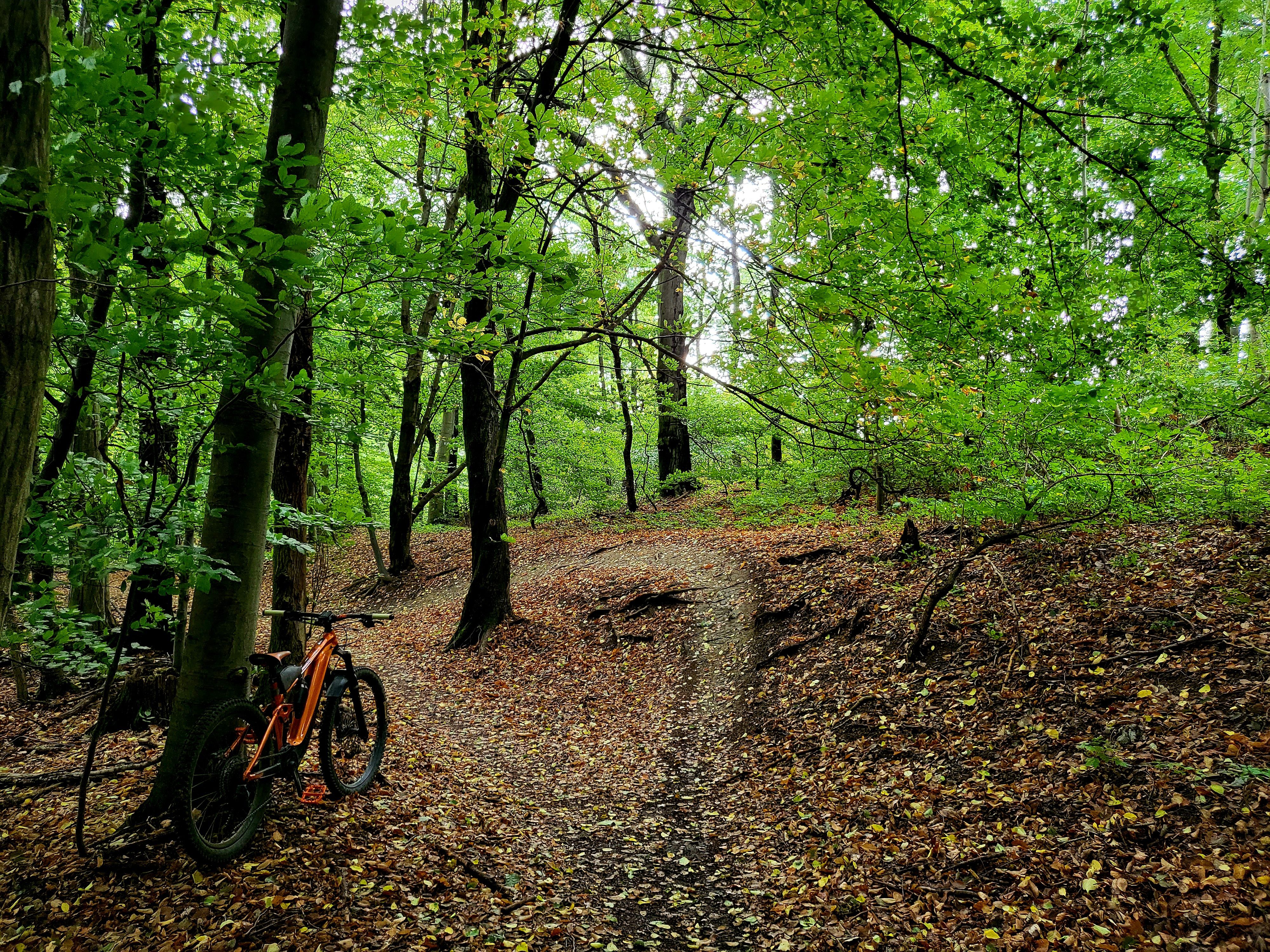 20220824_081810.jpg