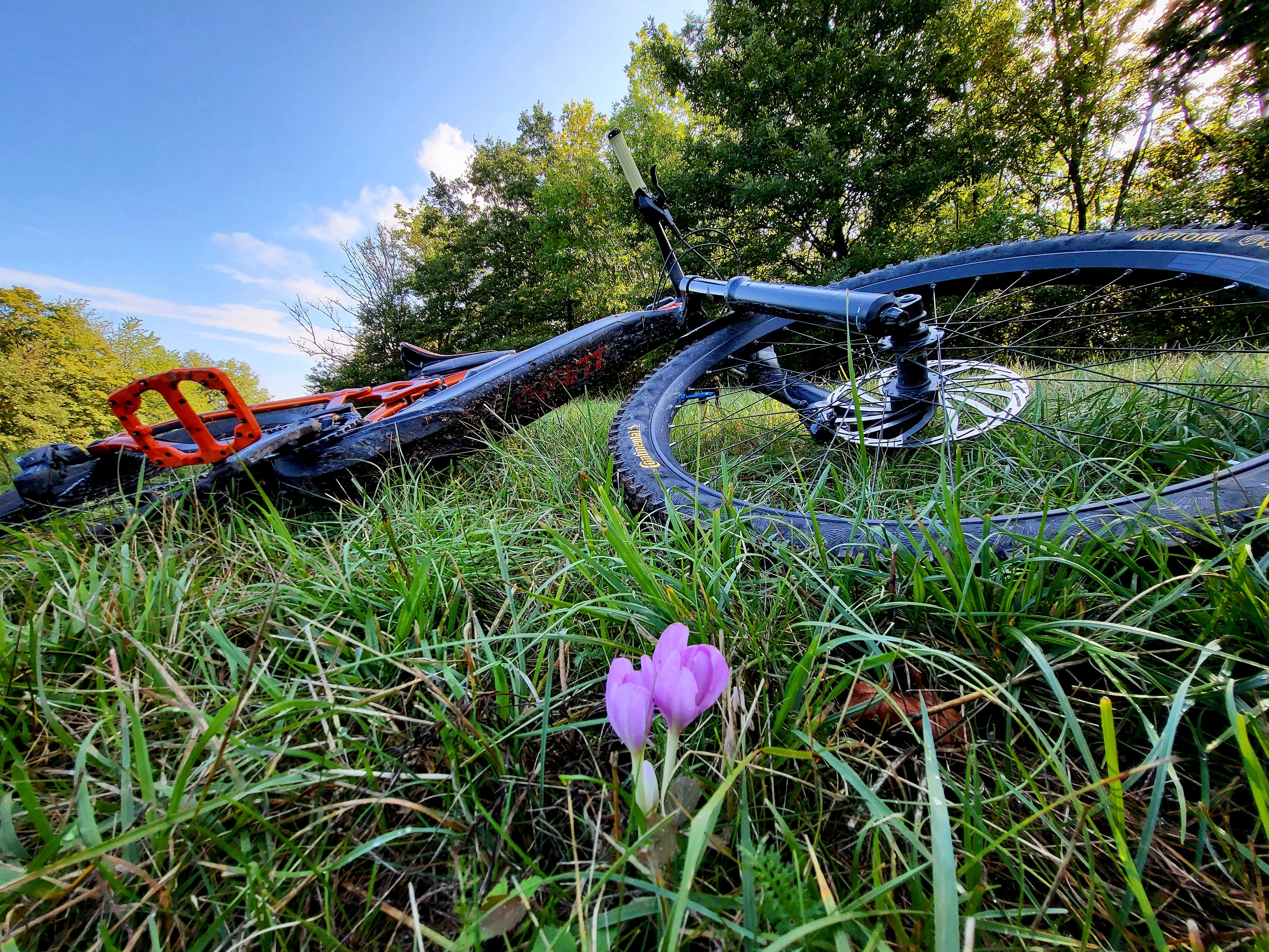 20220829_093910.jpg