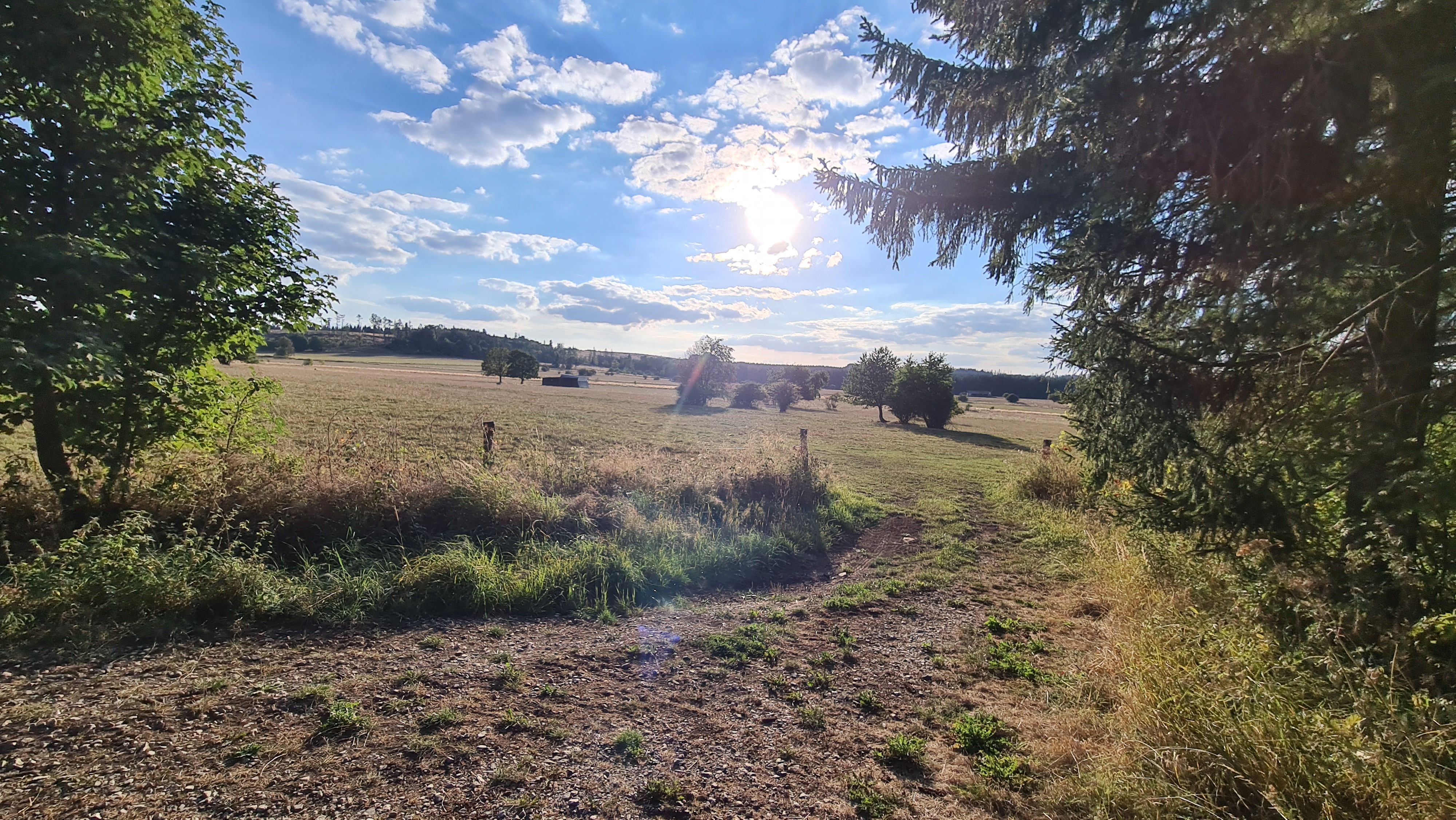 20220901_183618.jpg