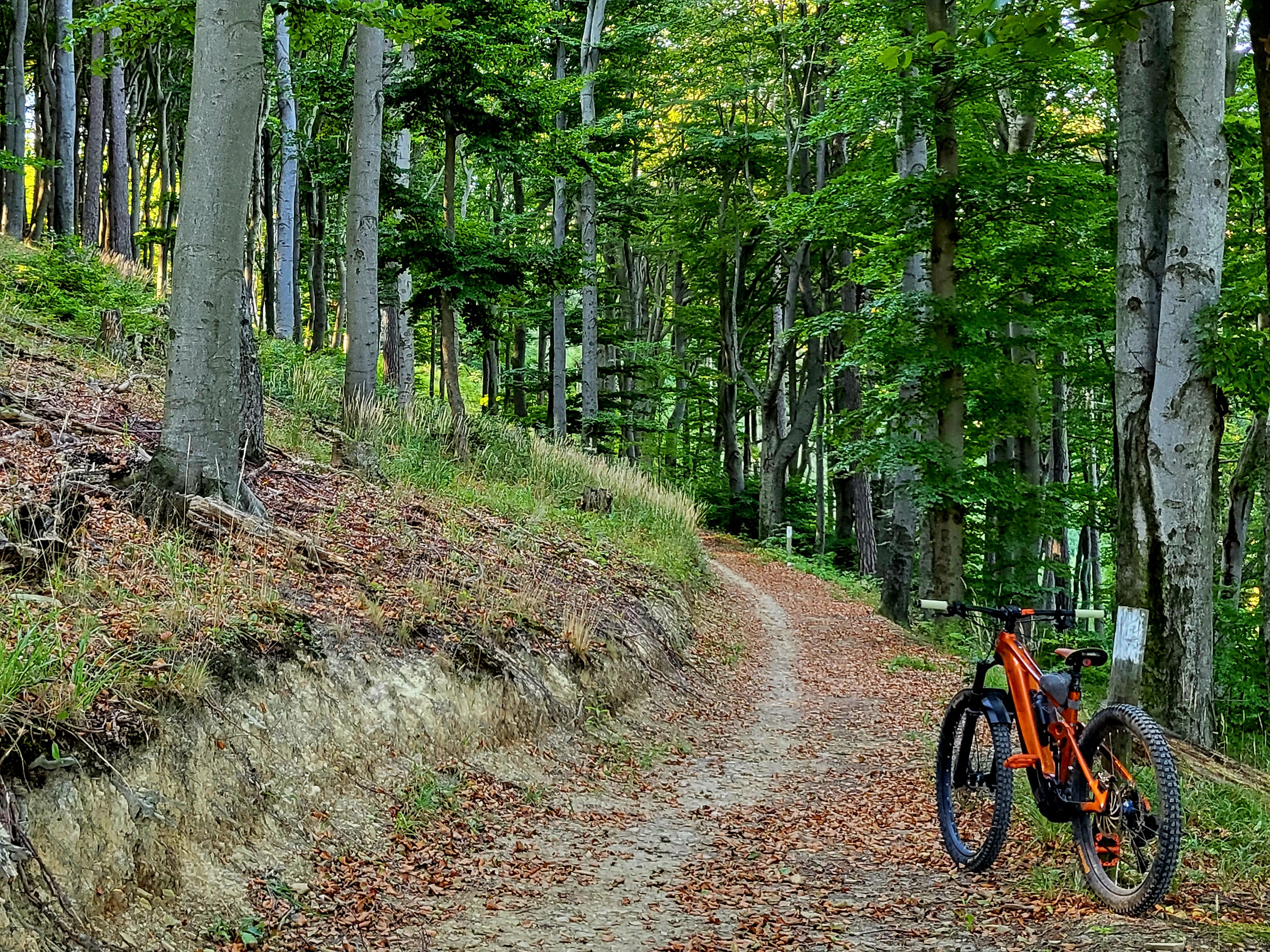 20220902_093813.jpg