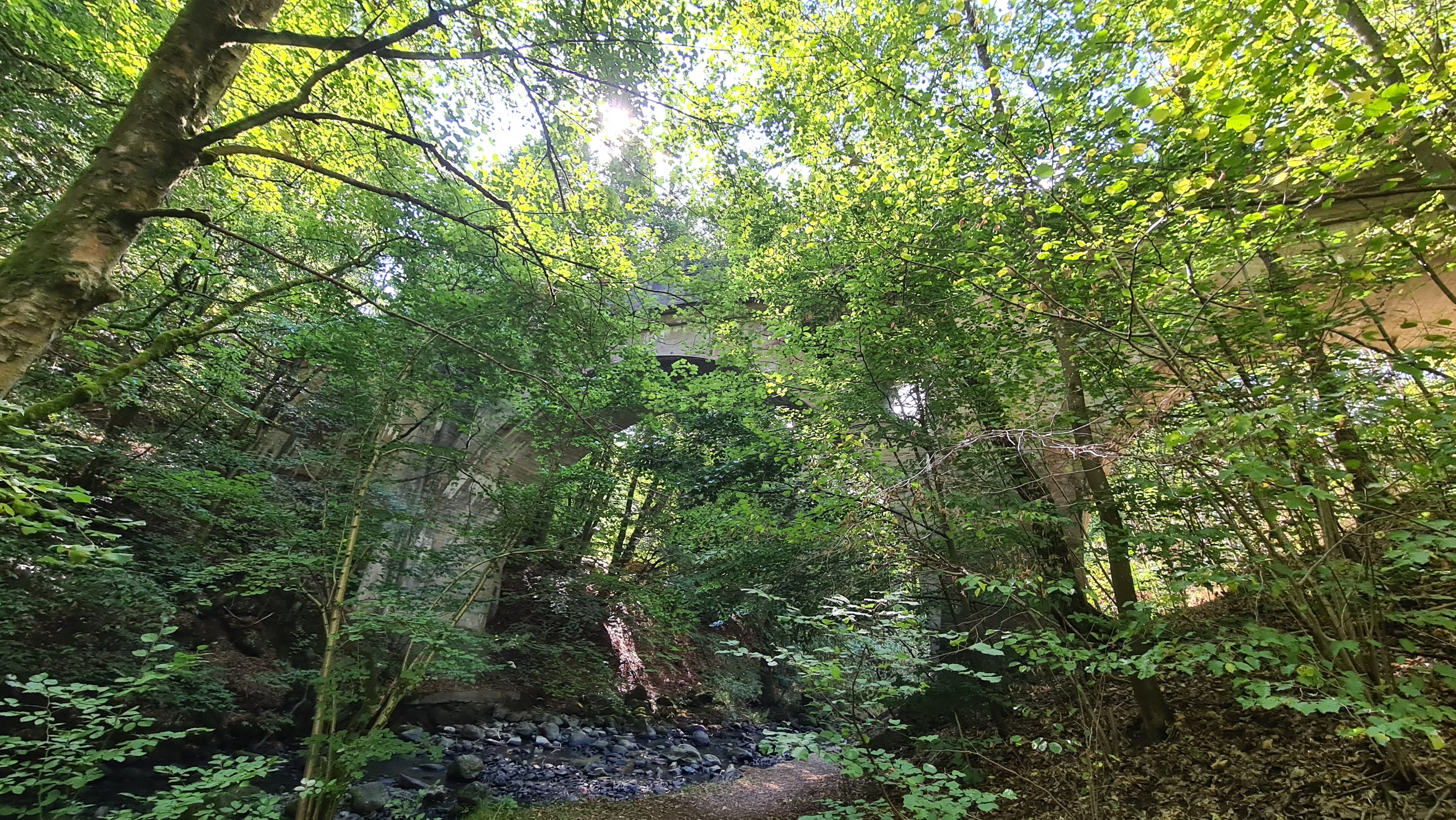 20220904_123620.jpg