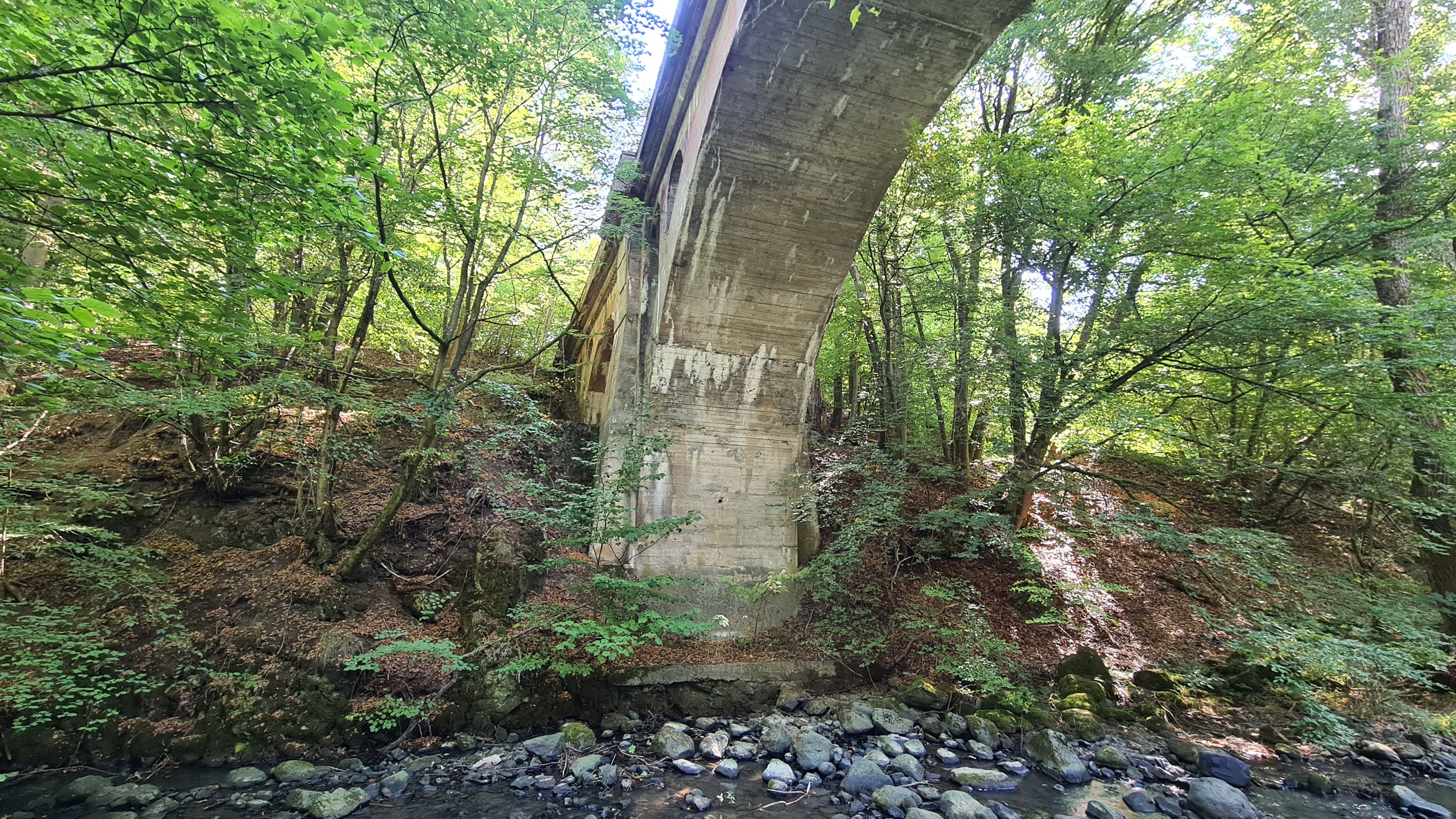 20220904_123641.jpg