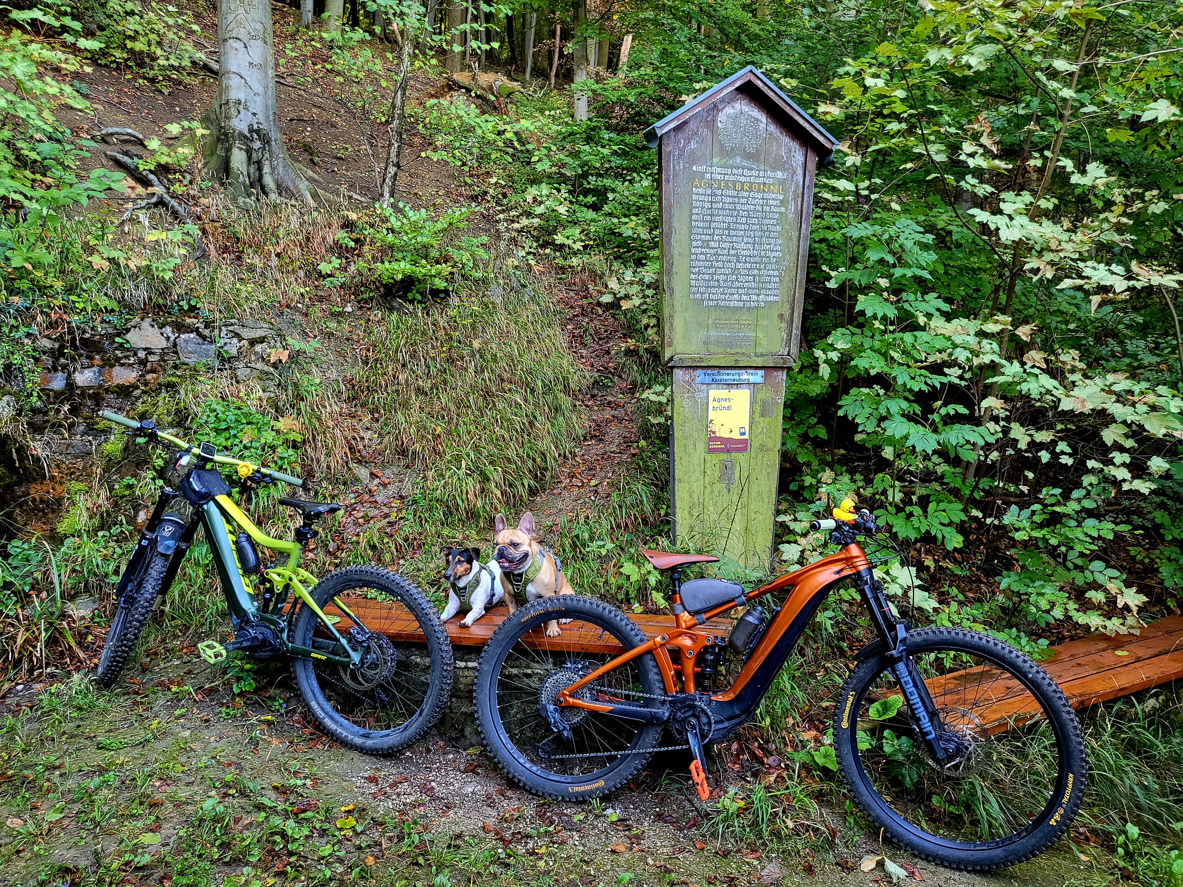 20220910_095738.jpg