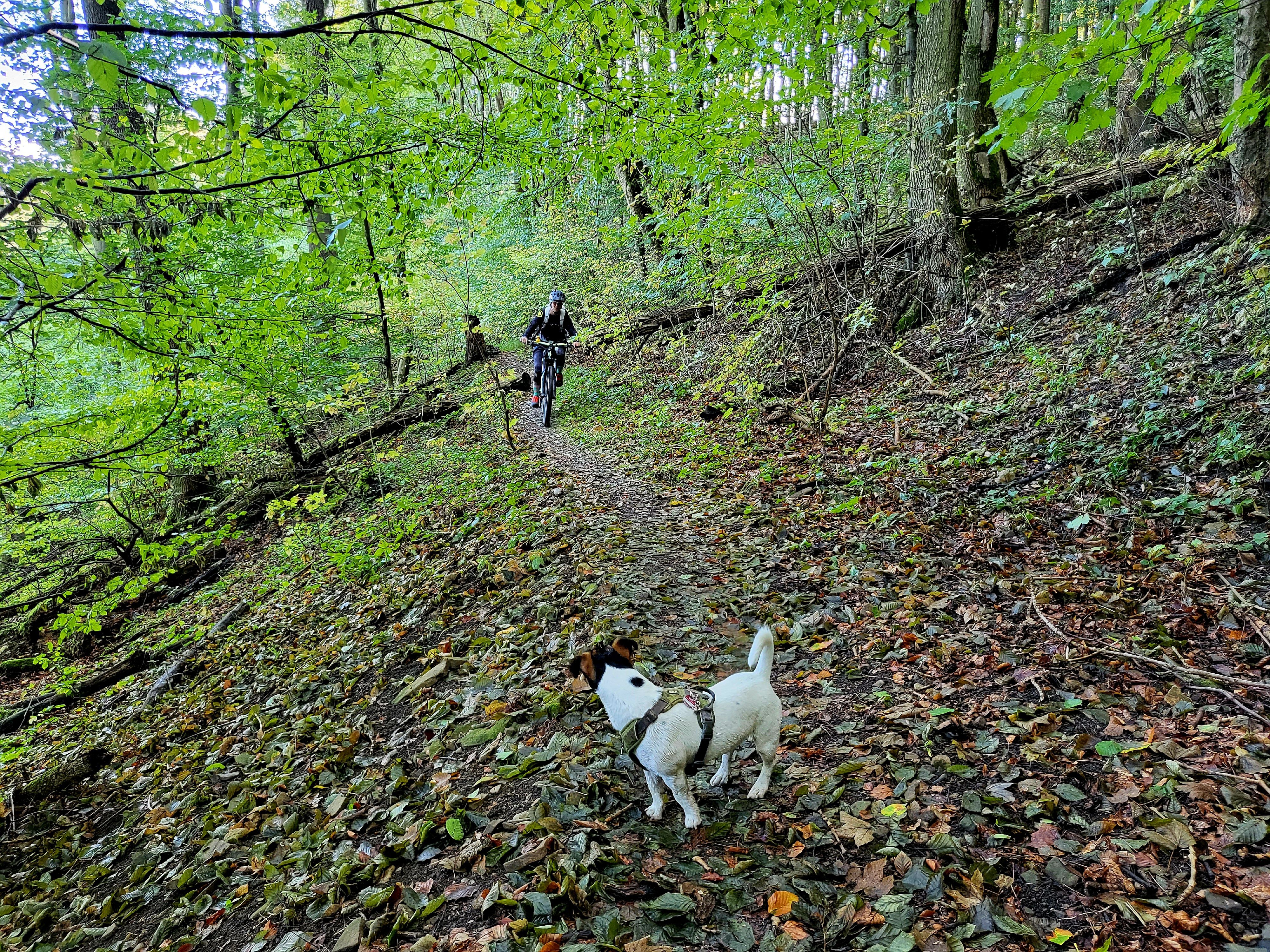 20220910_095848.jpg