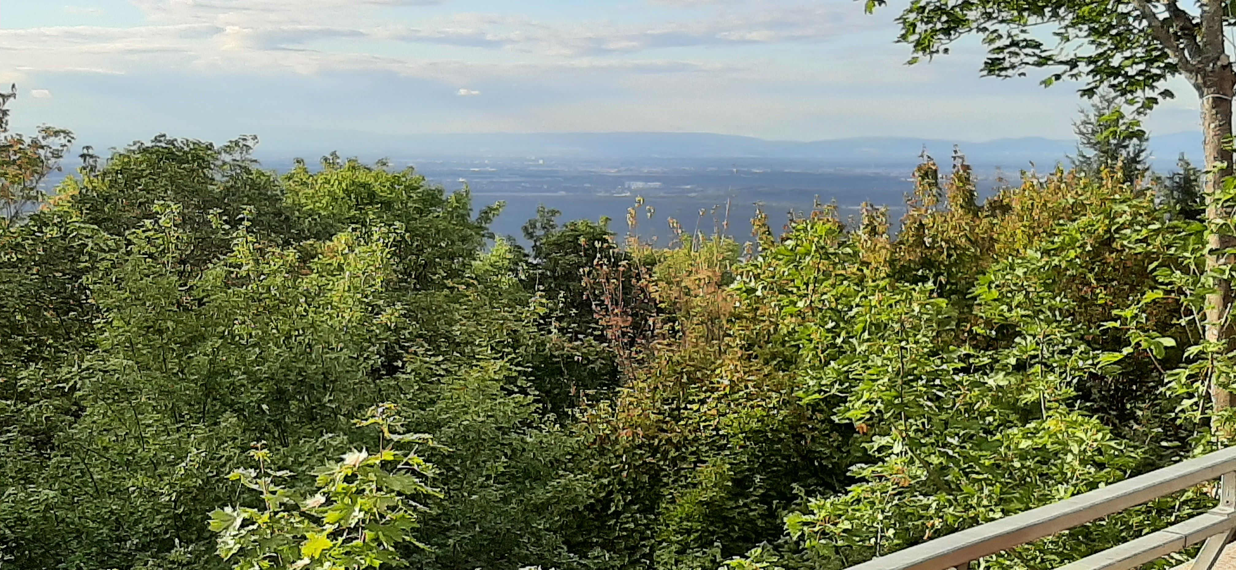 20220920_174952.jpg