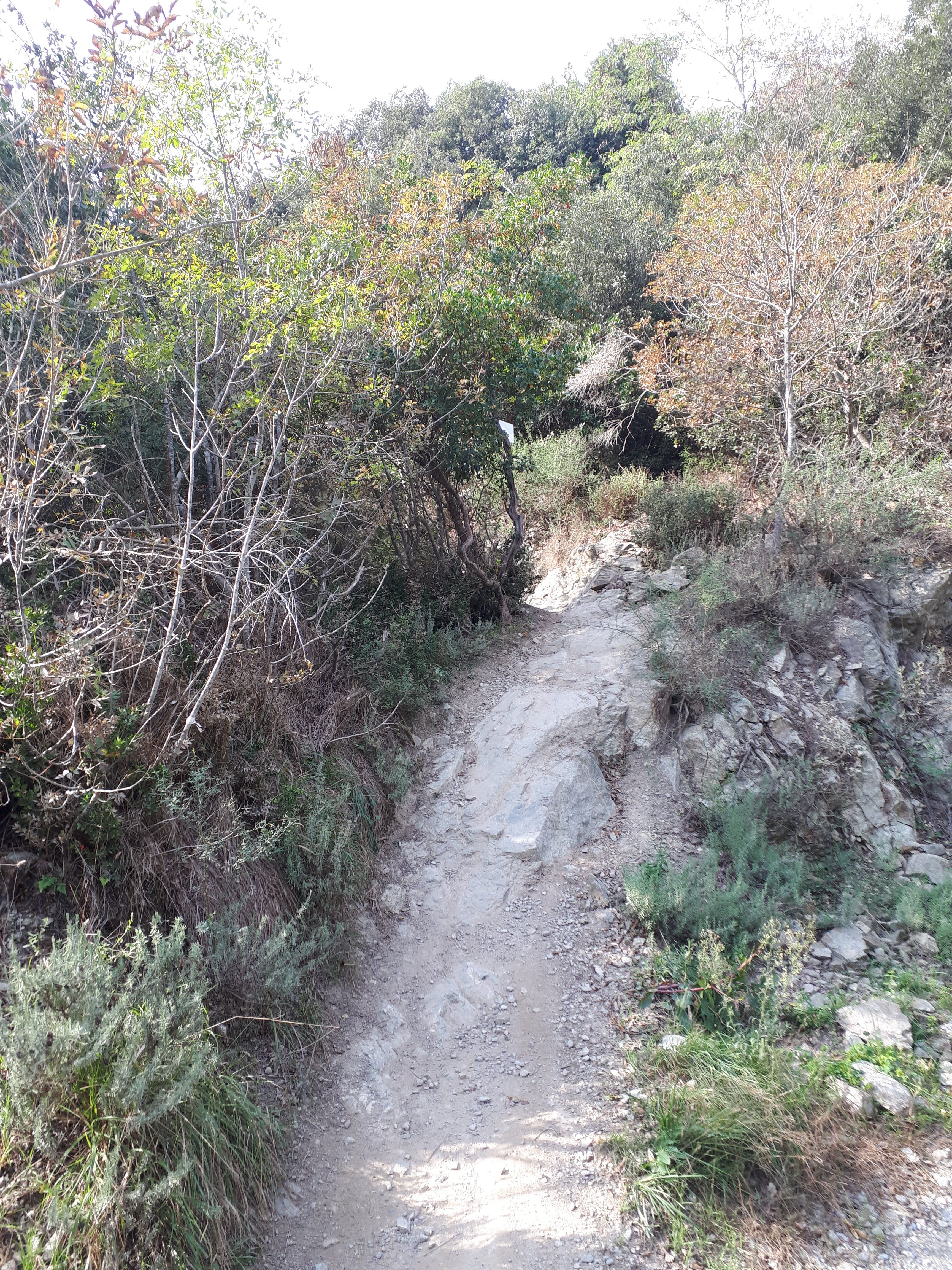 20221012_142708.jpg