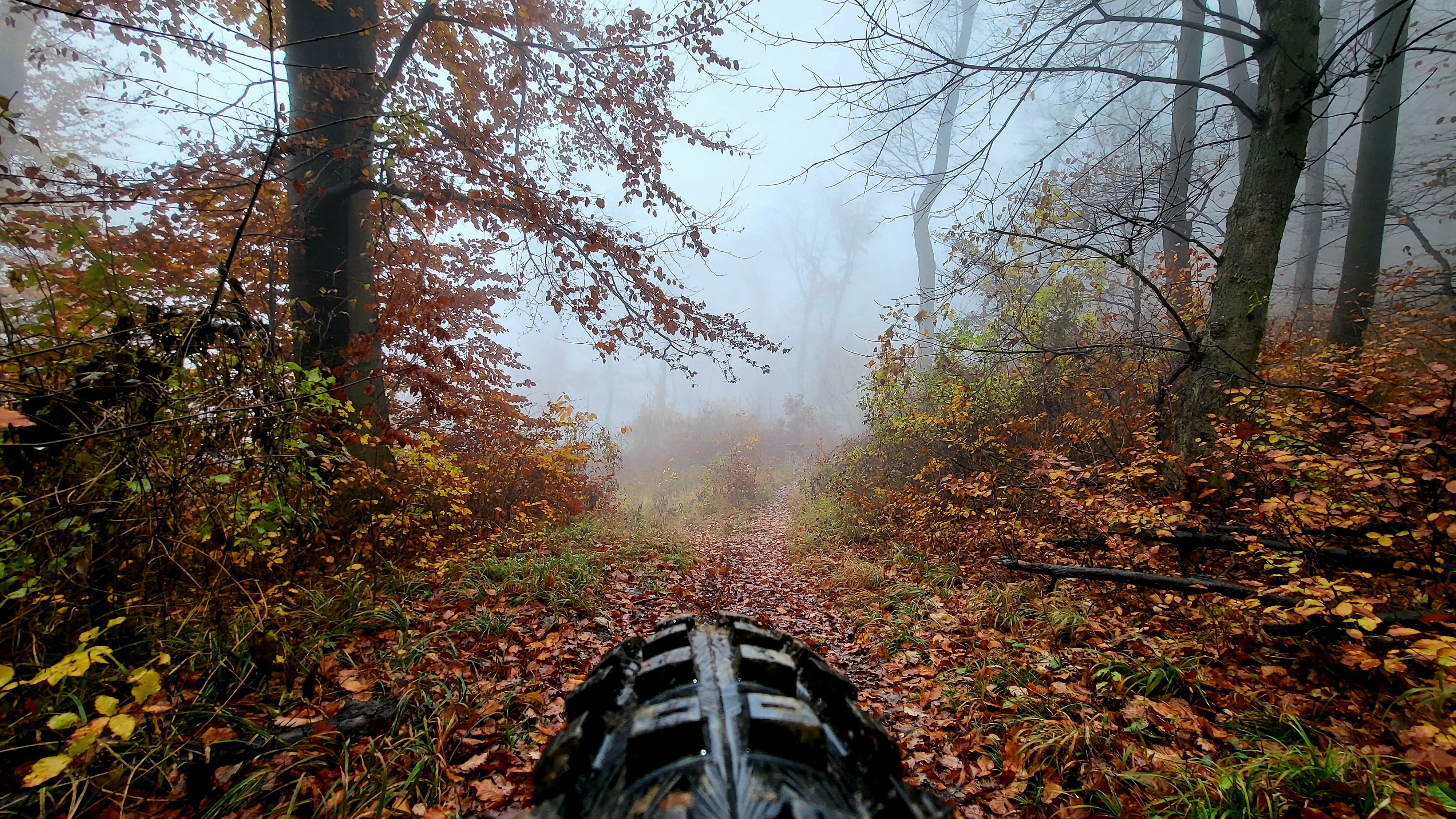 20221115_123445.jpg