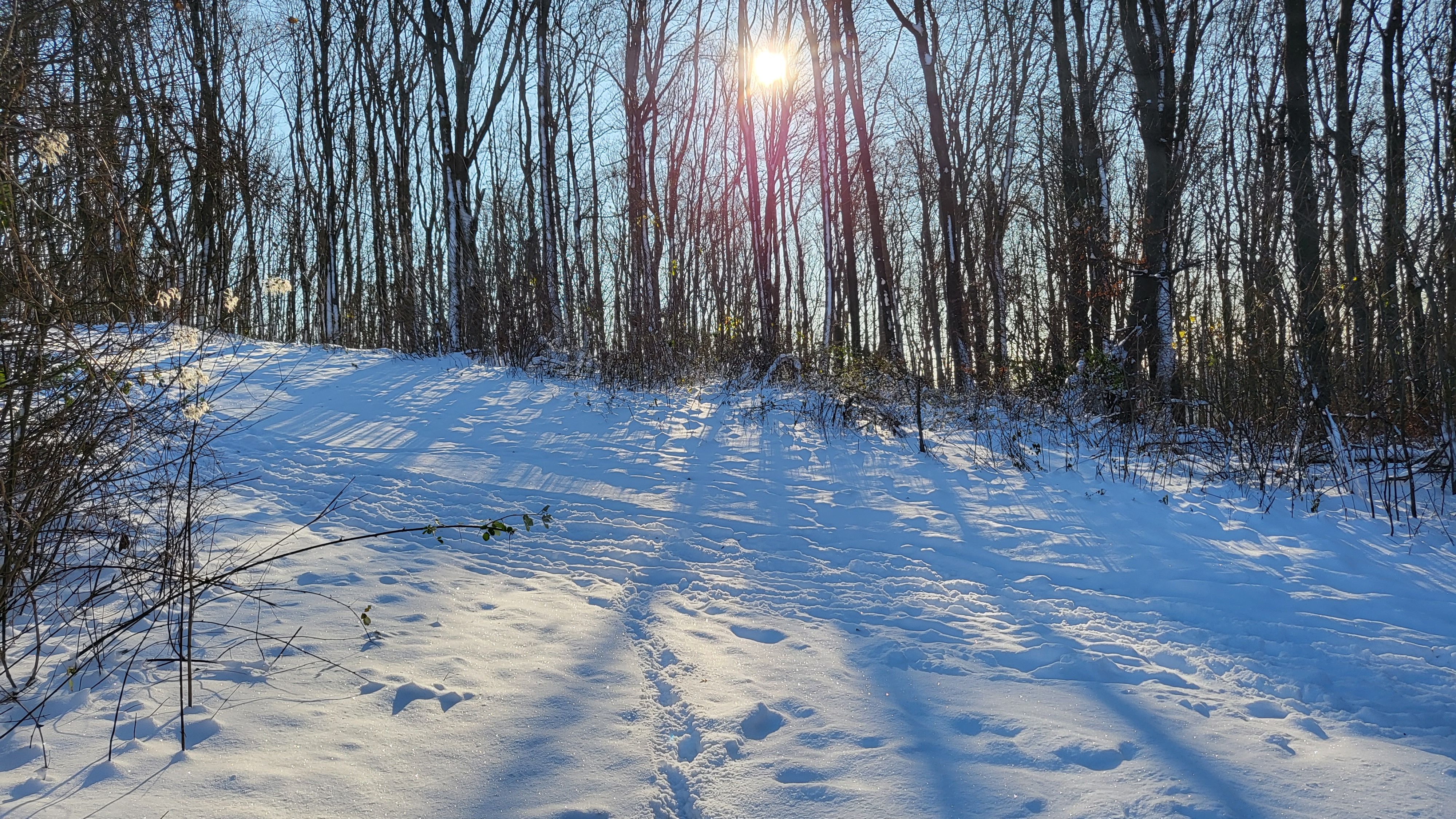 20221213_101609.jpg